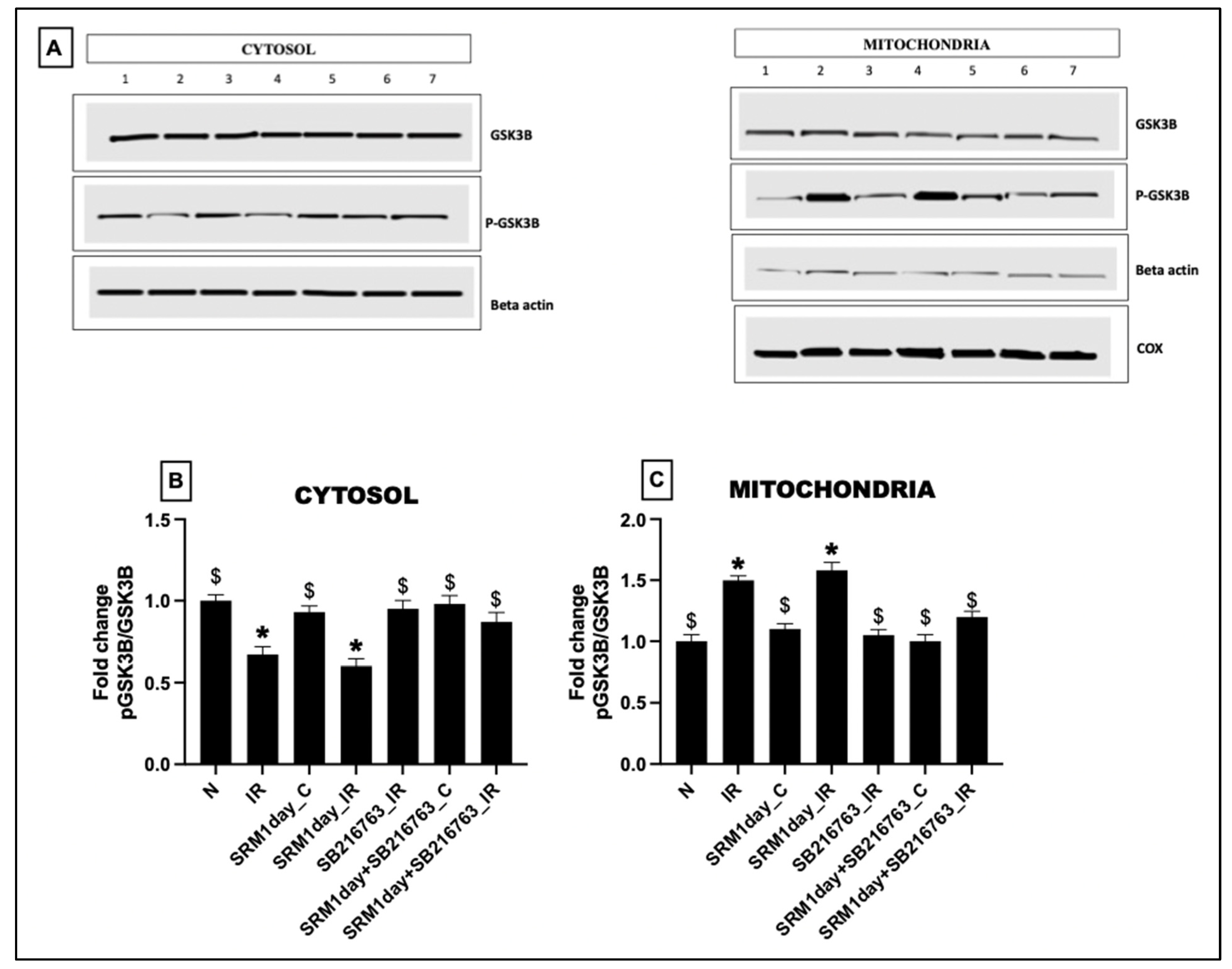Life 13 02234 g010 Life 13 02234 g010