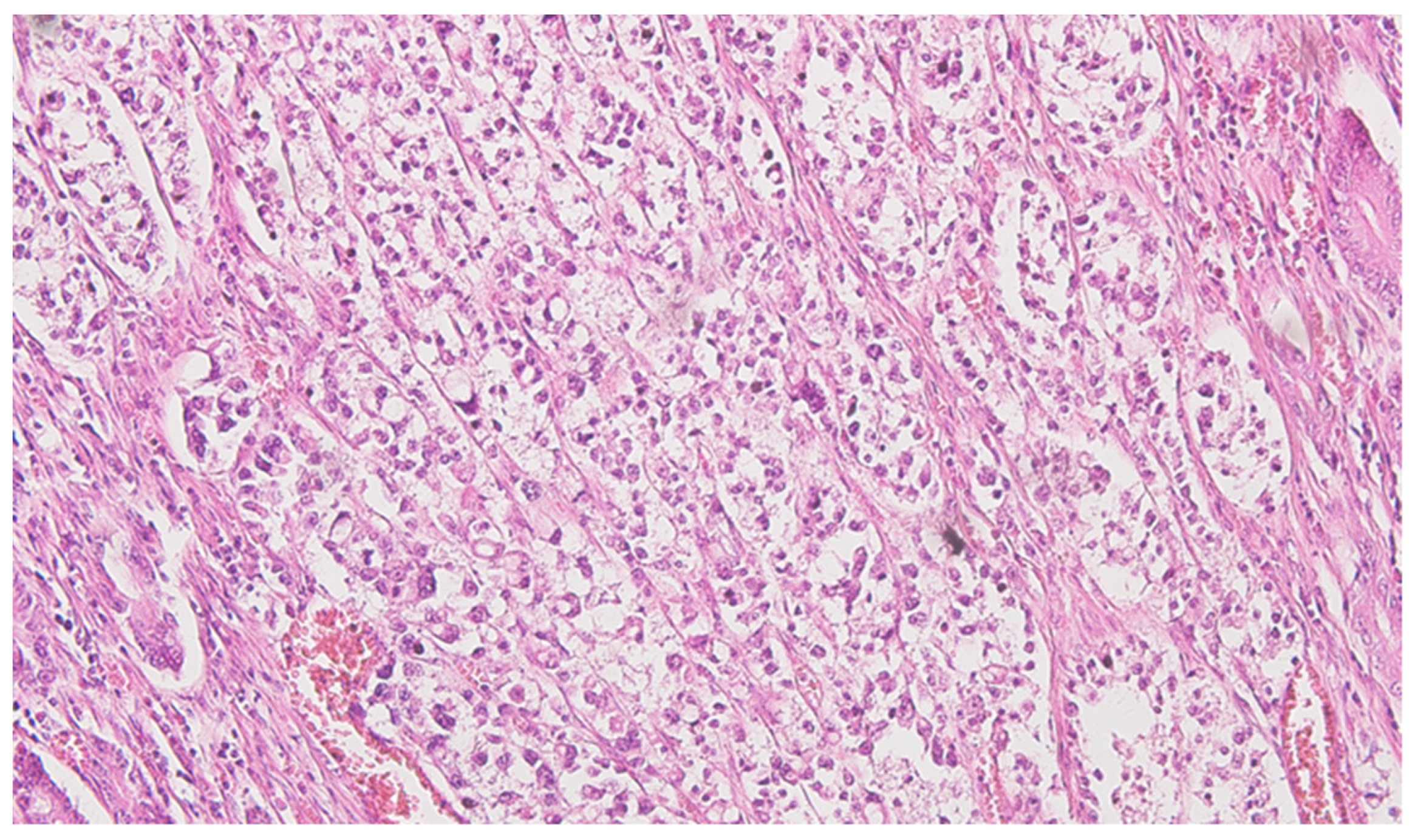 Life 13 02263 g001 Life 13 02263 g001