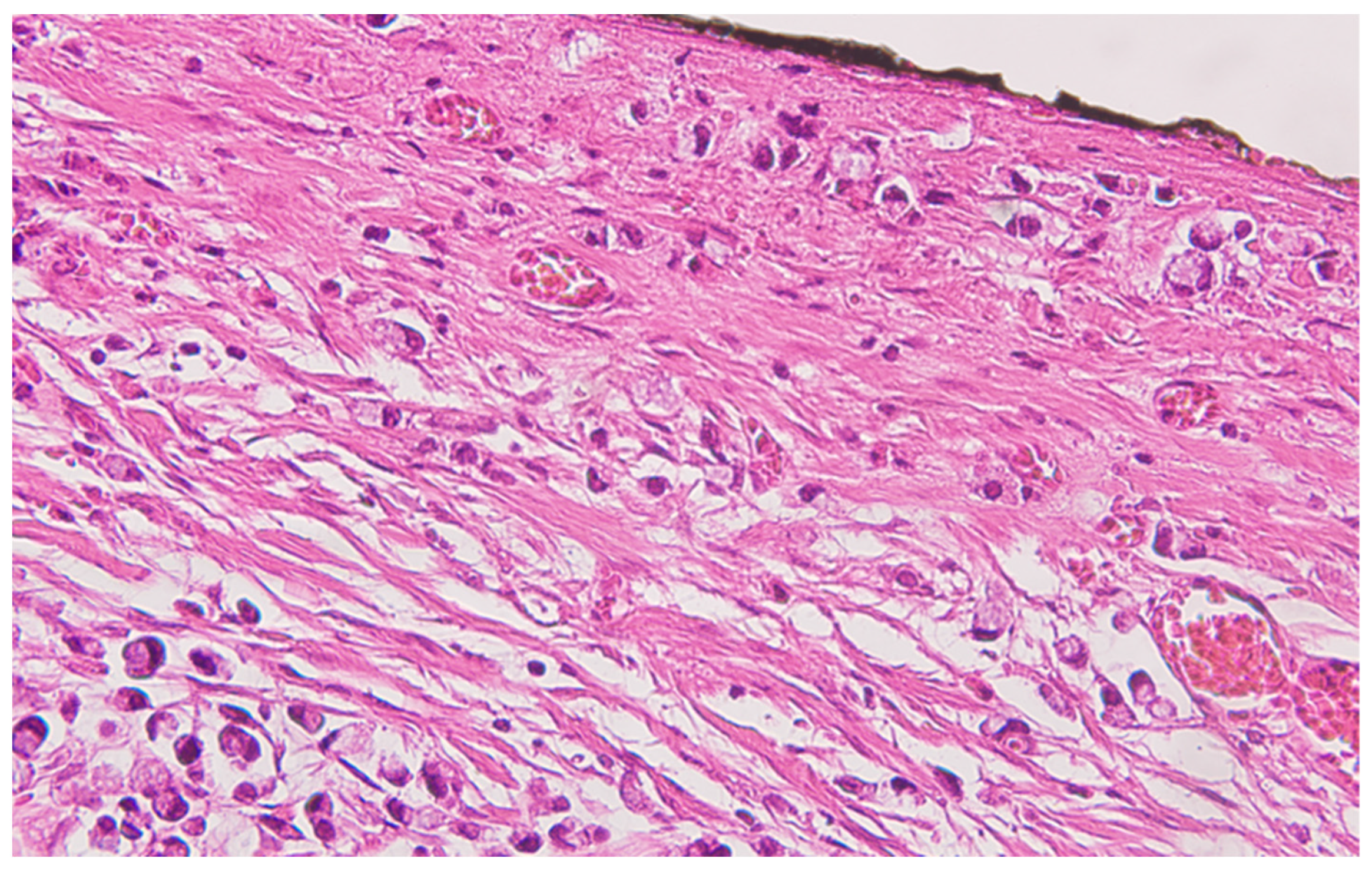 Life 13 02263 g002 Life 13 02263 g002