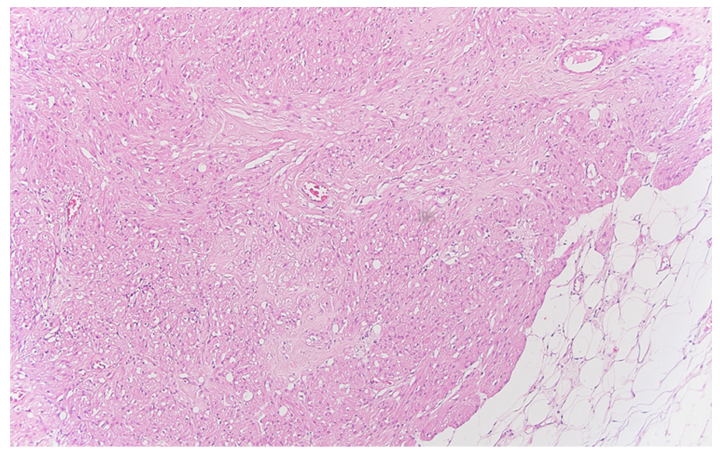 Life 13 02263 g004 Life 13 02263 g004