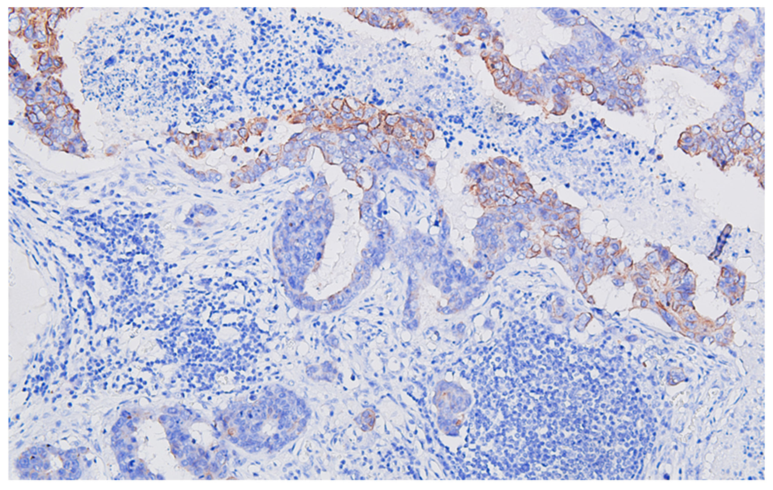 Life 13 02263 g005 Life 13 02263 g005