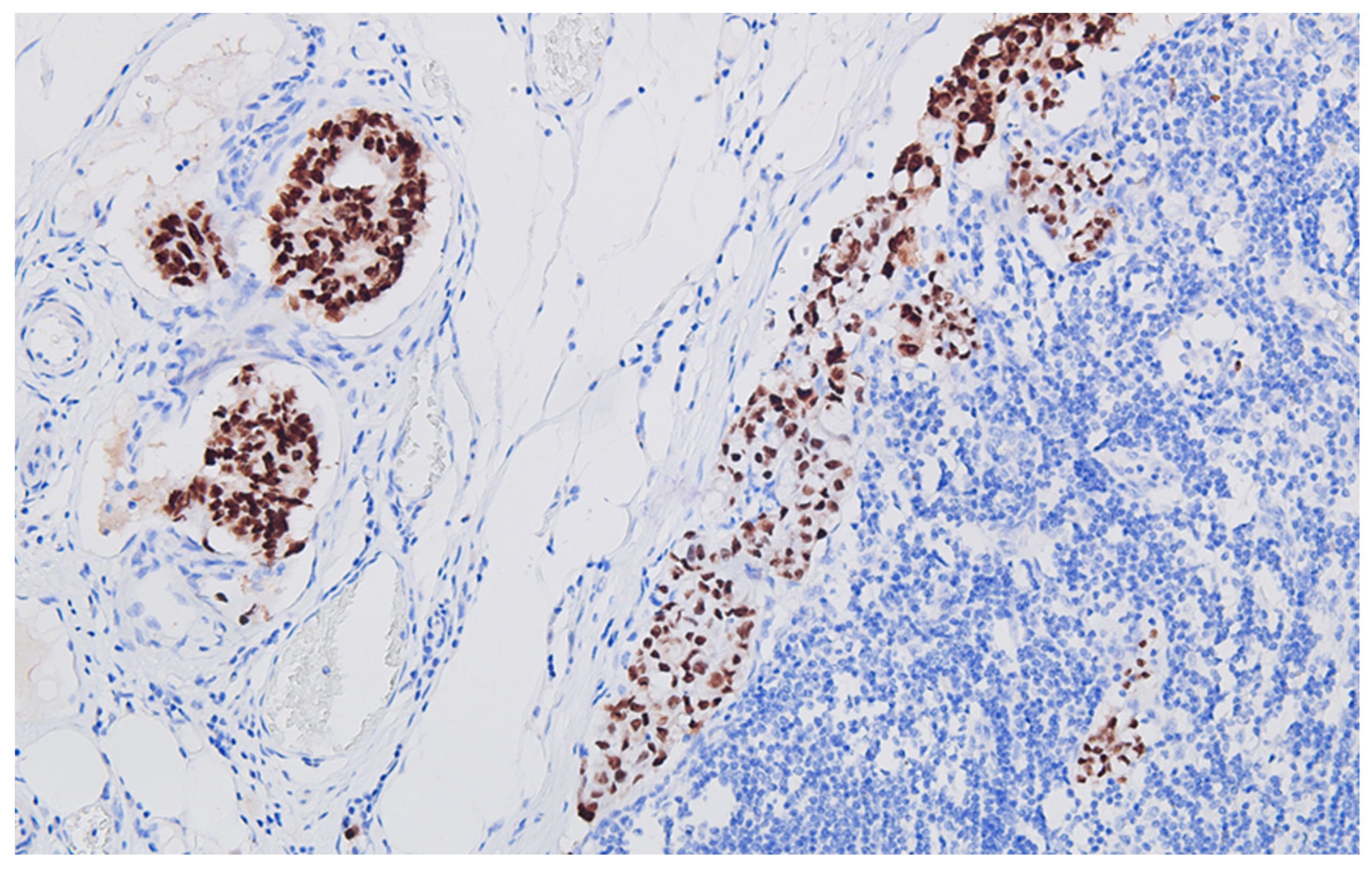 Life 13 02263 g006 Life 13 02263 g006