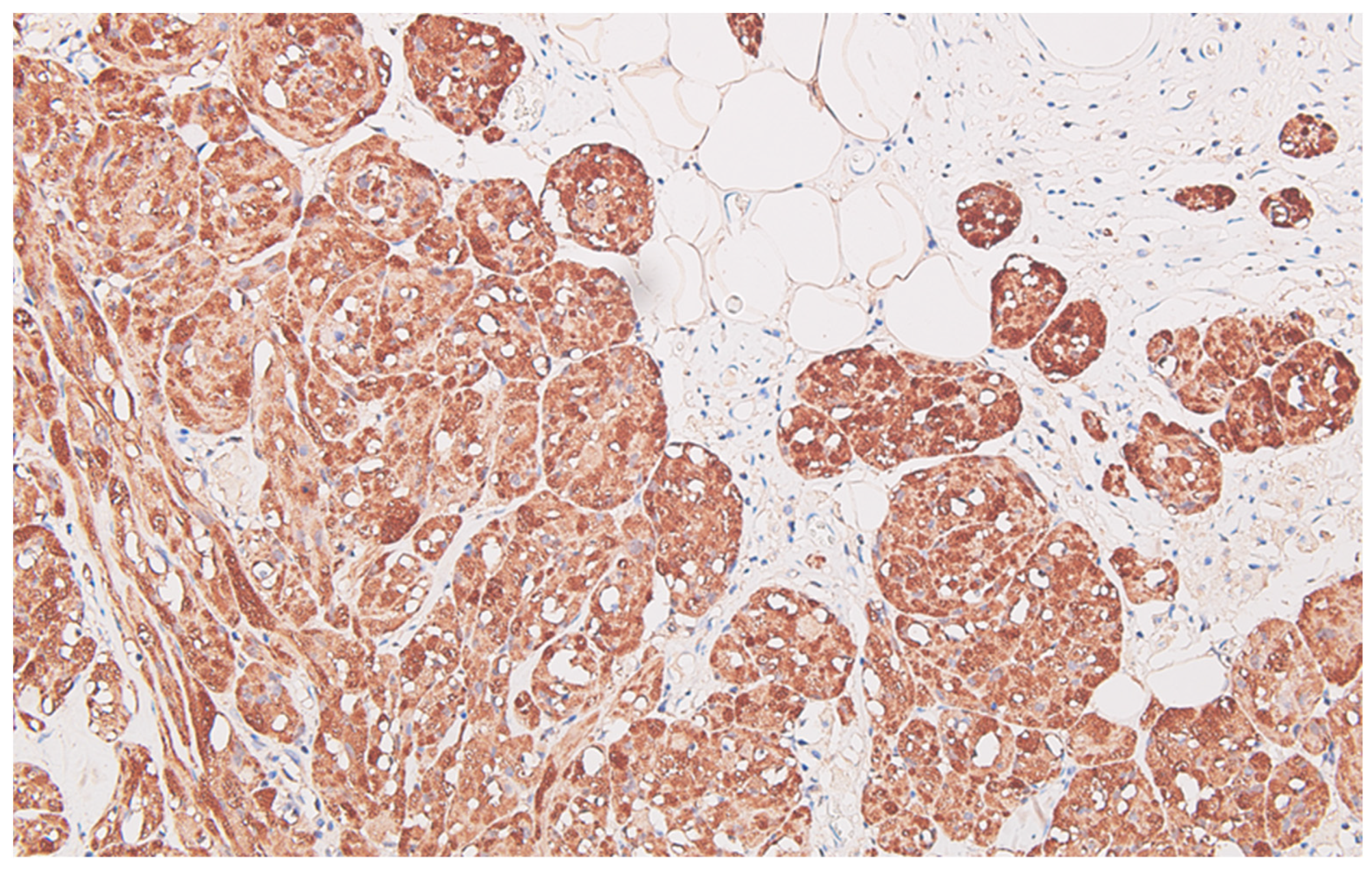 Life 13 02263 g007 Life 13 02263 g007