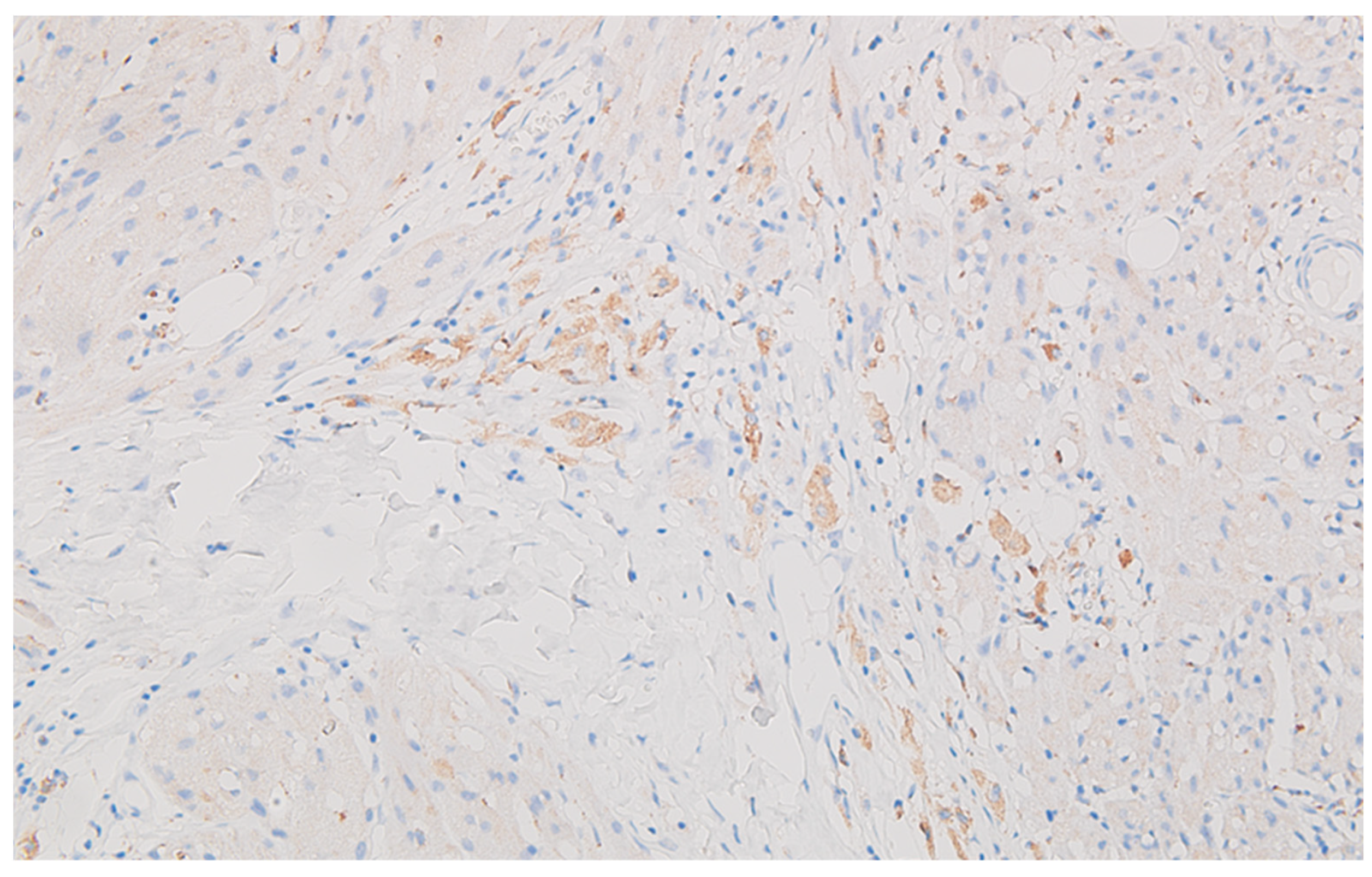 Life 13 02263 g008 Life 13 02263 g008