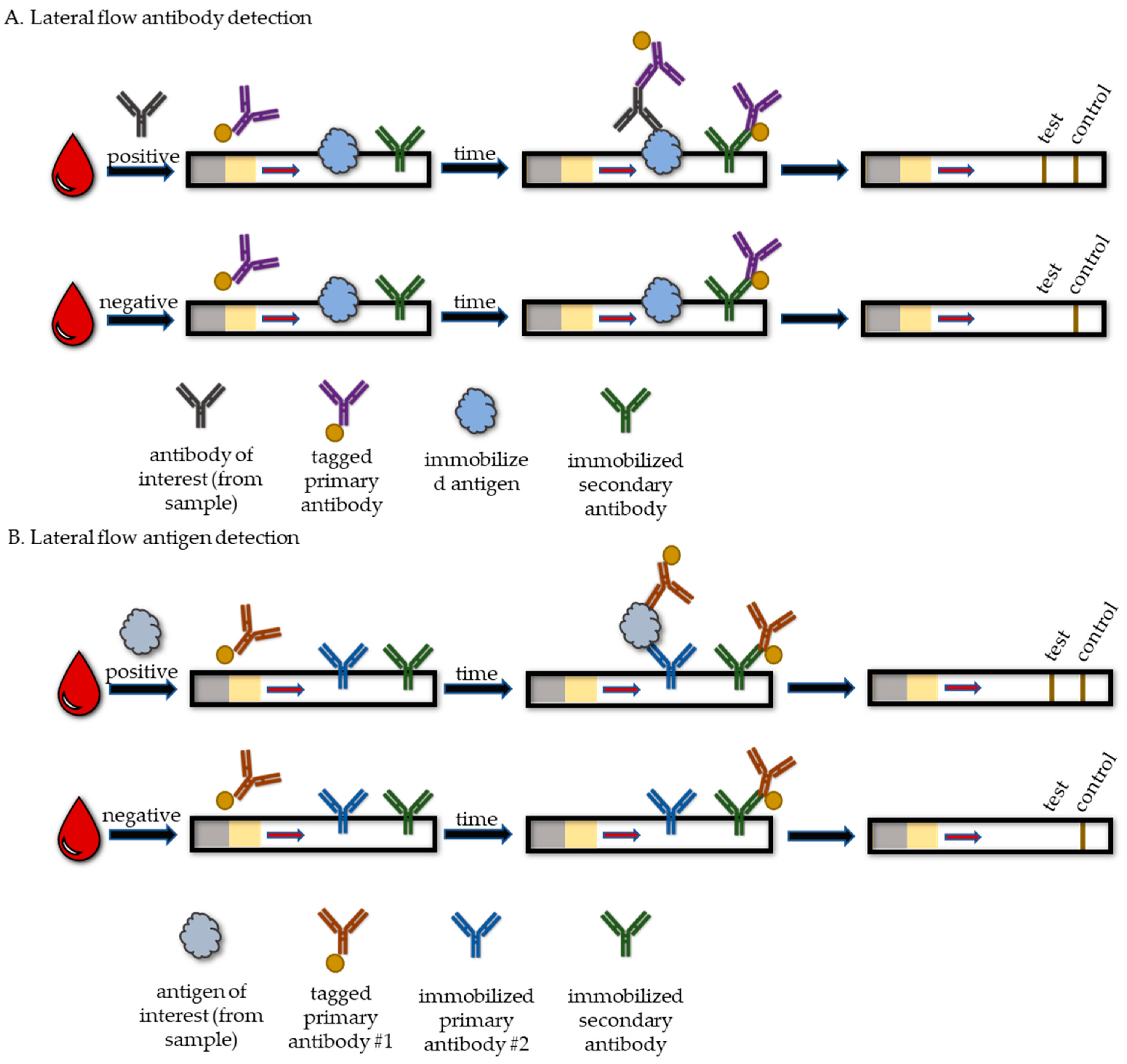 Life 13 02271 g001 Life 13 02271 g001
