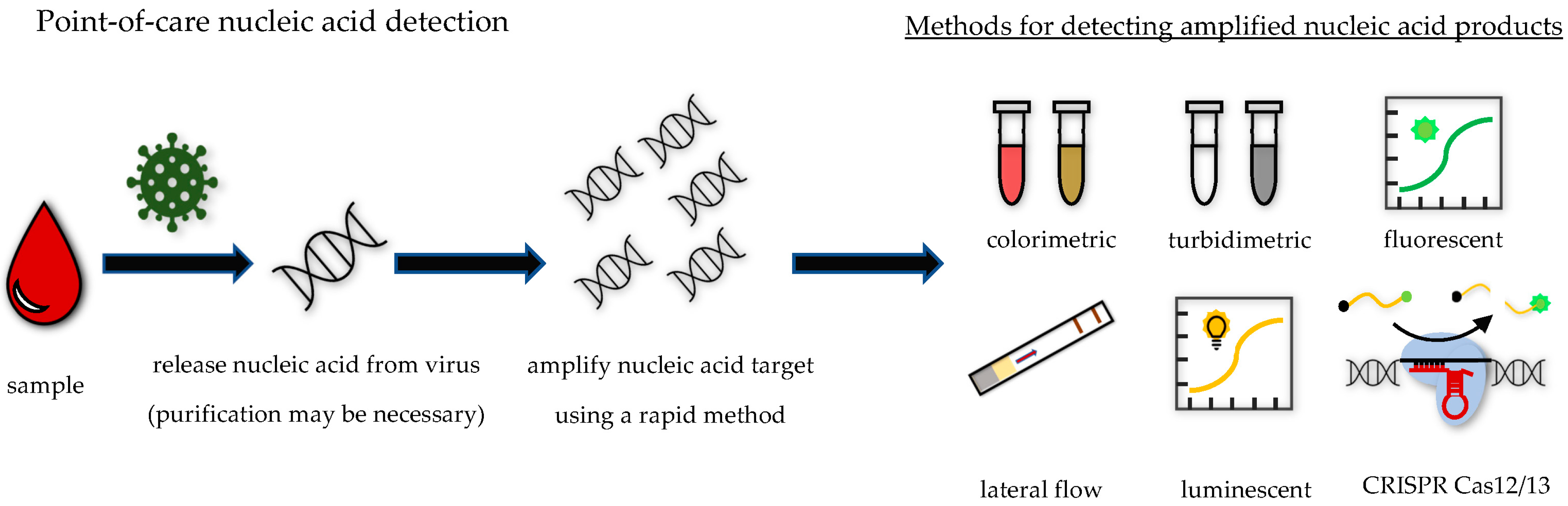 Life 13 02271 g002 Life 13 02271 g002