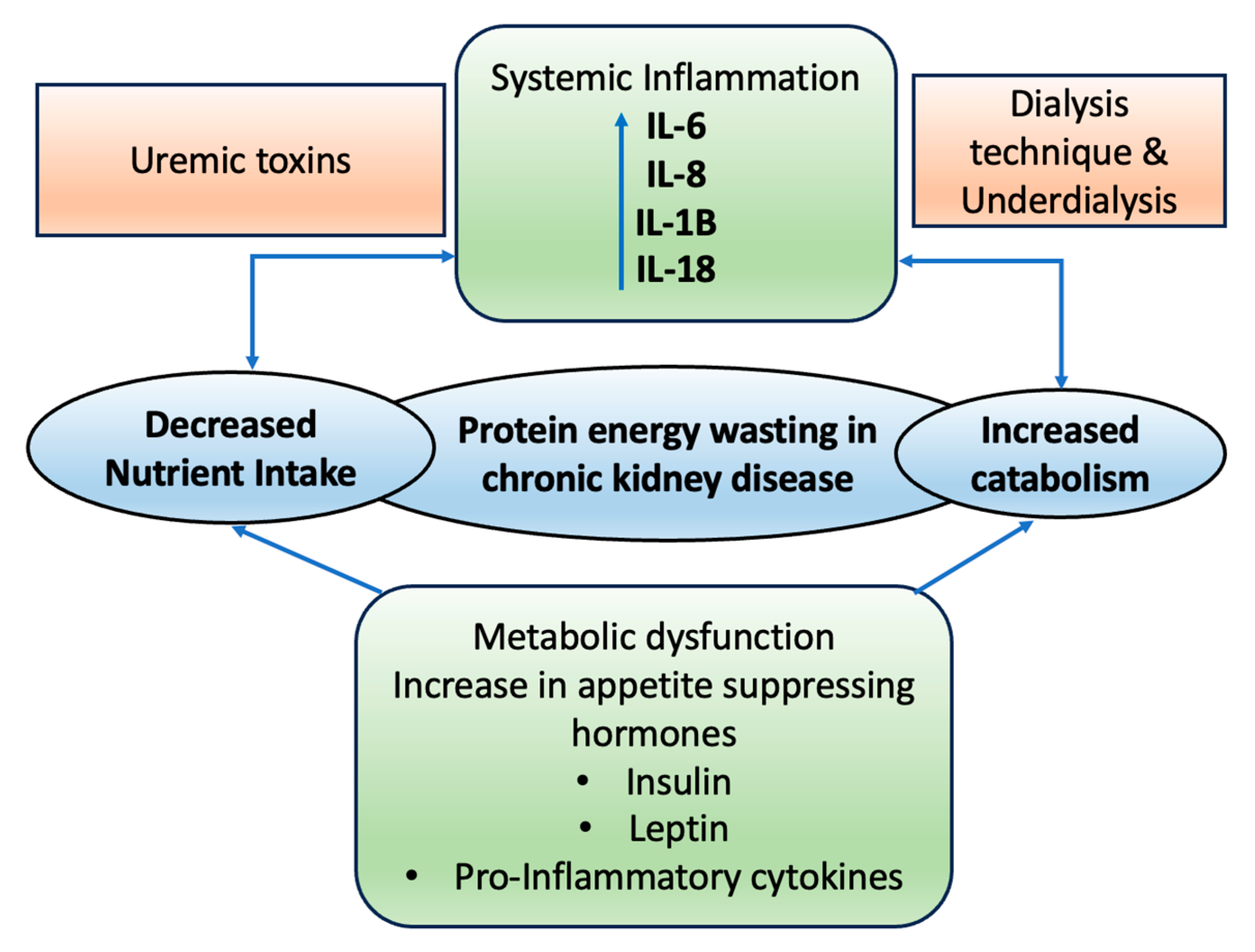 Life 14 00013 g001 Life 14 00013 g001