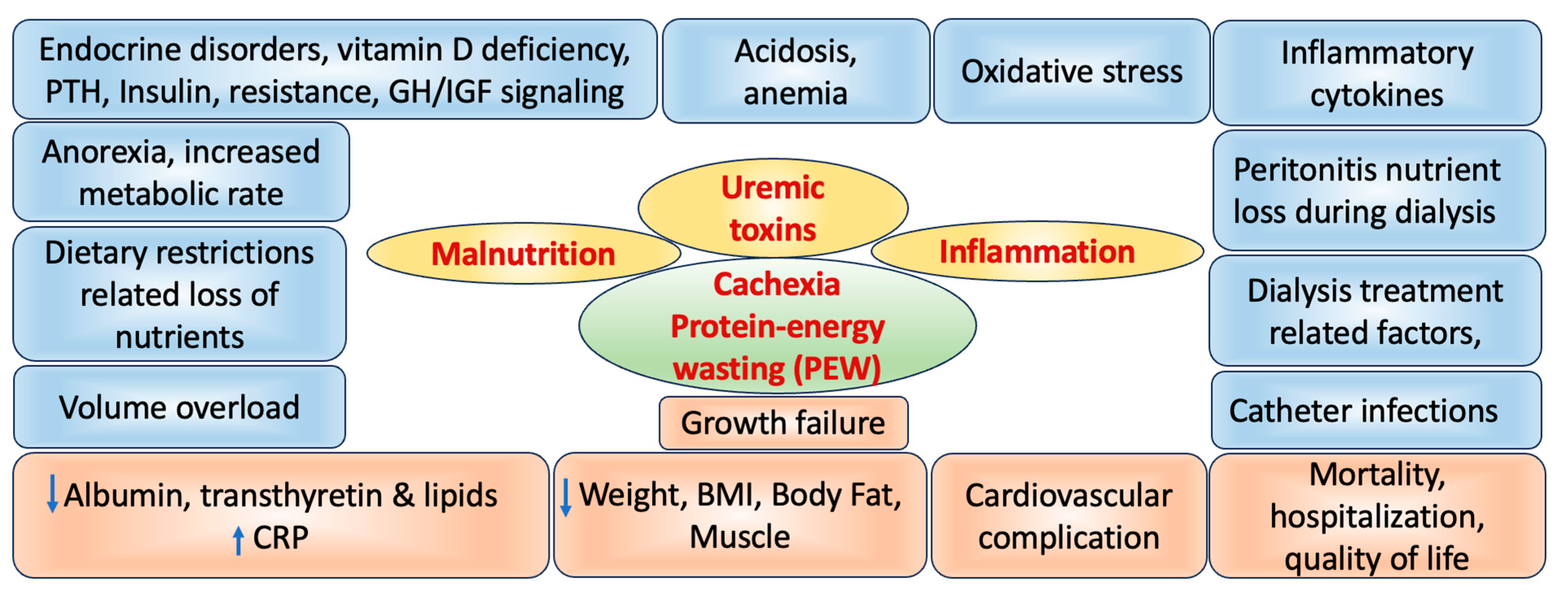Life 14 00013 g002 Life 14 00013 g002