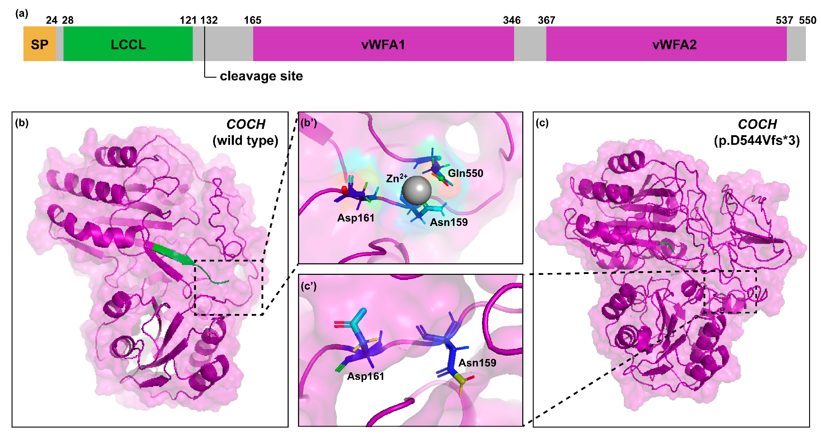 Life 14 00033 g002 Life 14 00033 g002