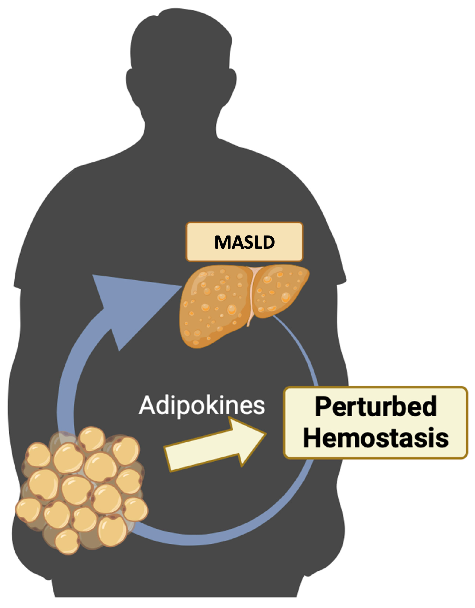 Life 14 00093 g001 Life 14 00093 g001