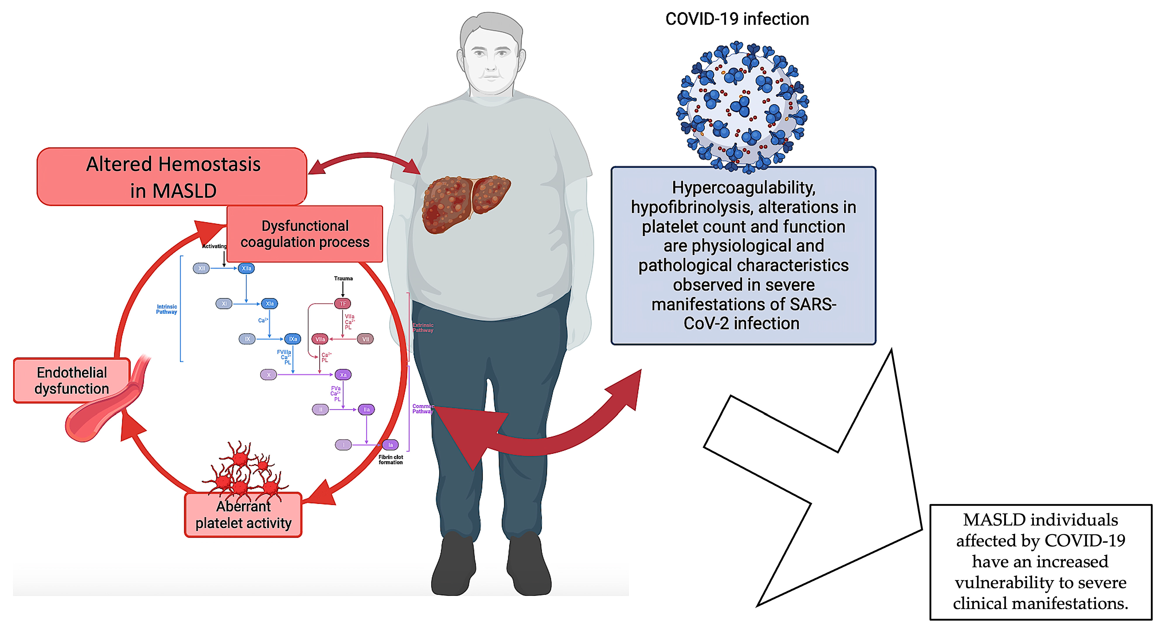 Life 14 00093 g003 Life 14 00093 g003