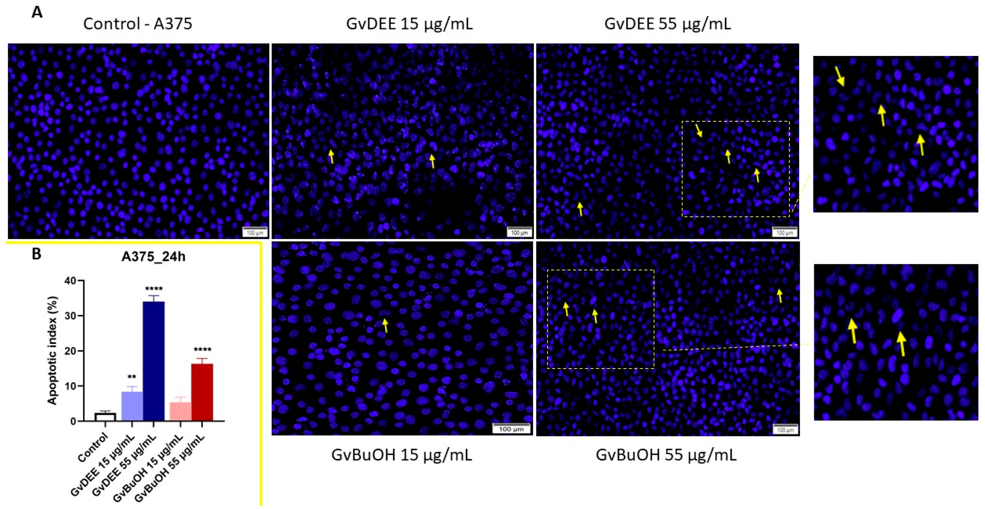 Life 14 00112 g009 Life 14 00112 g009