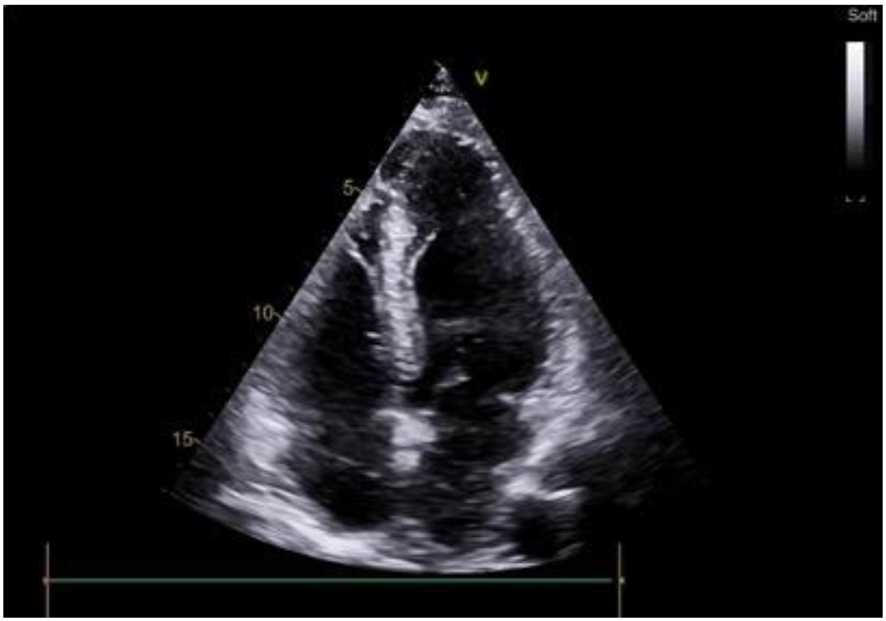 Life 14 00125 g001 Life 14 00125 g001