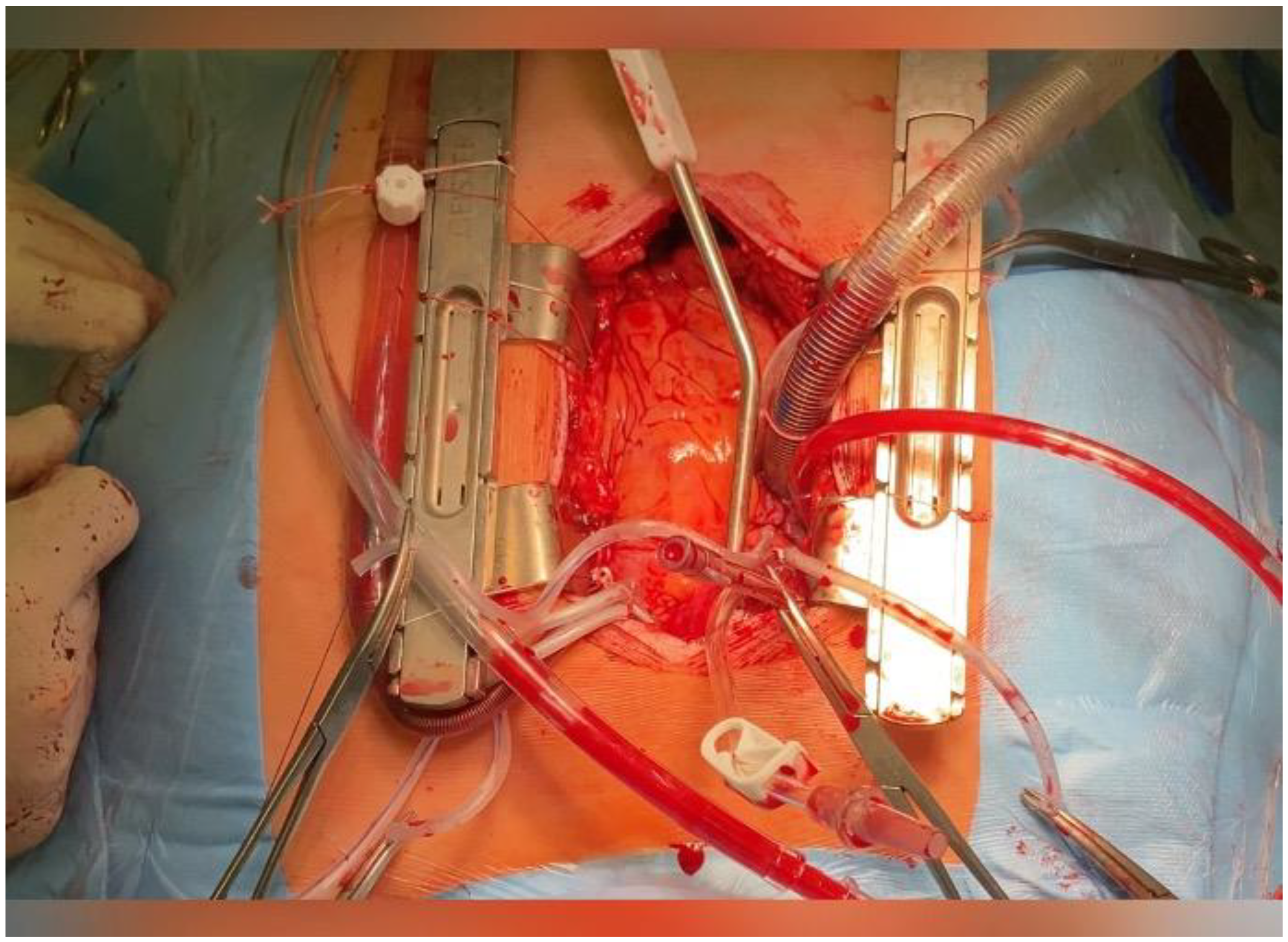 Life 14 00125 g003 Life 14 00125 g003