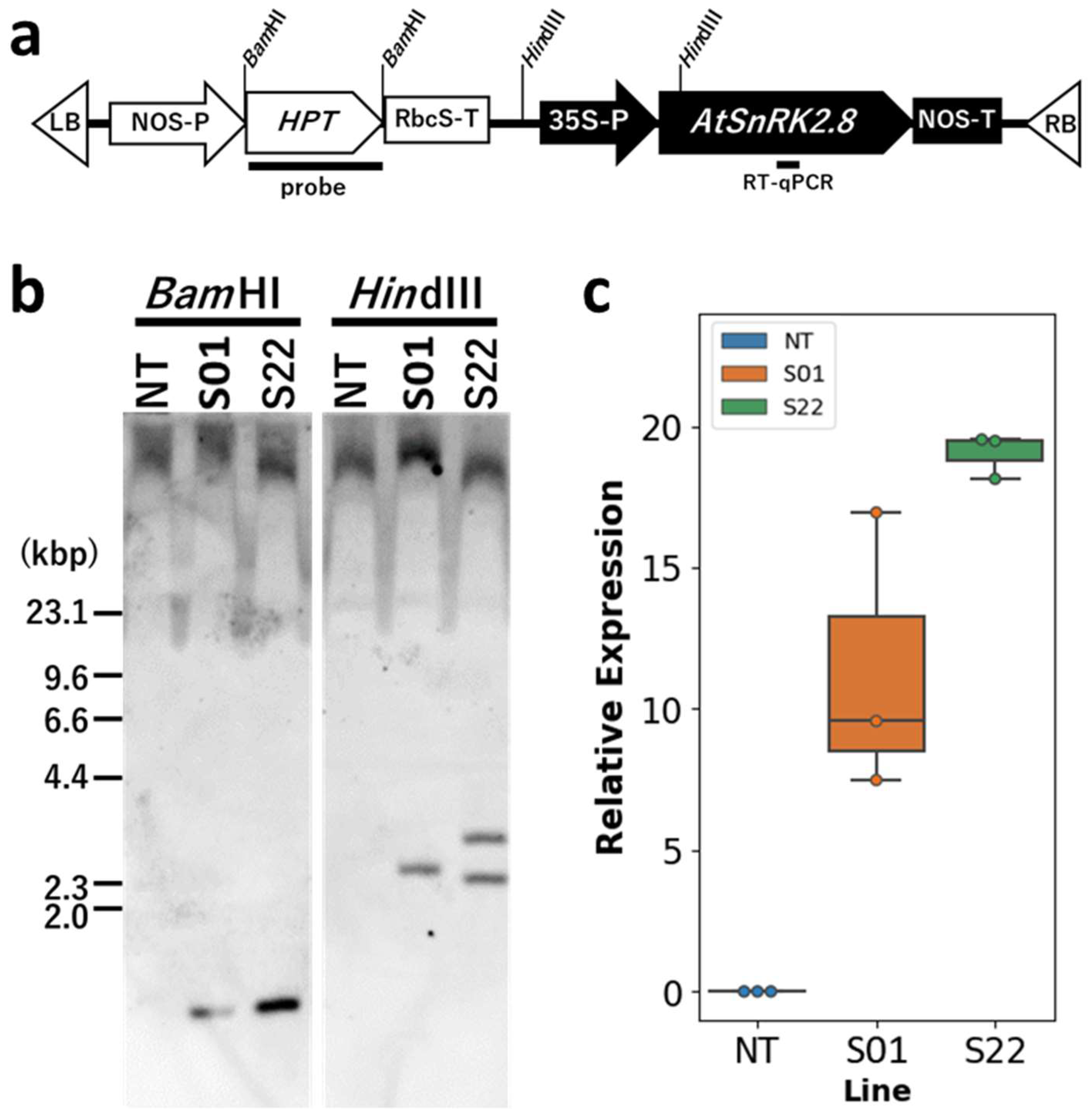 Life 14 00161 g001 Life 14 00161 g001
