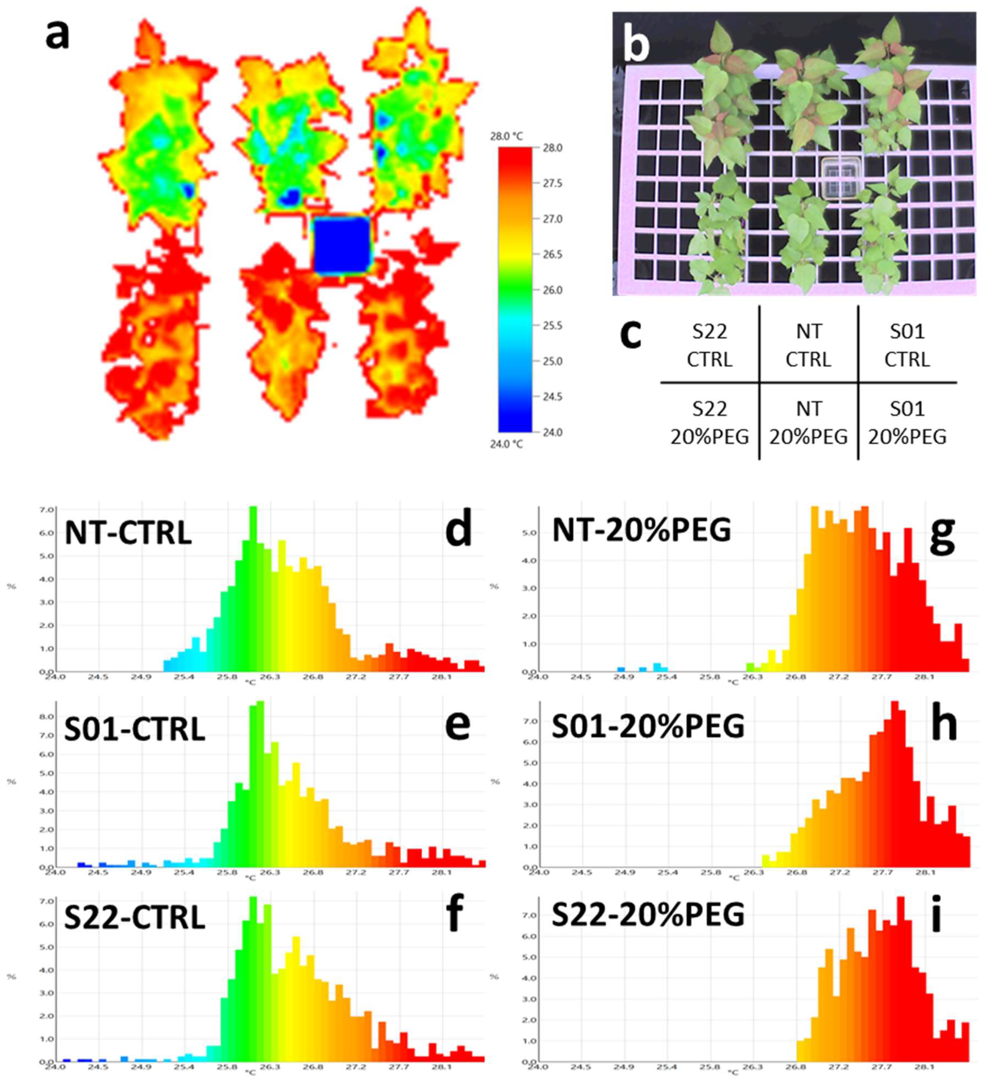 Life 14 00161 g003 Life 14 00161 g003