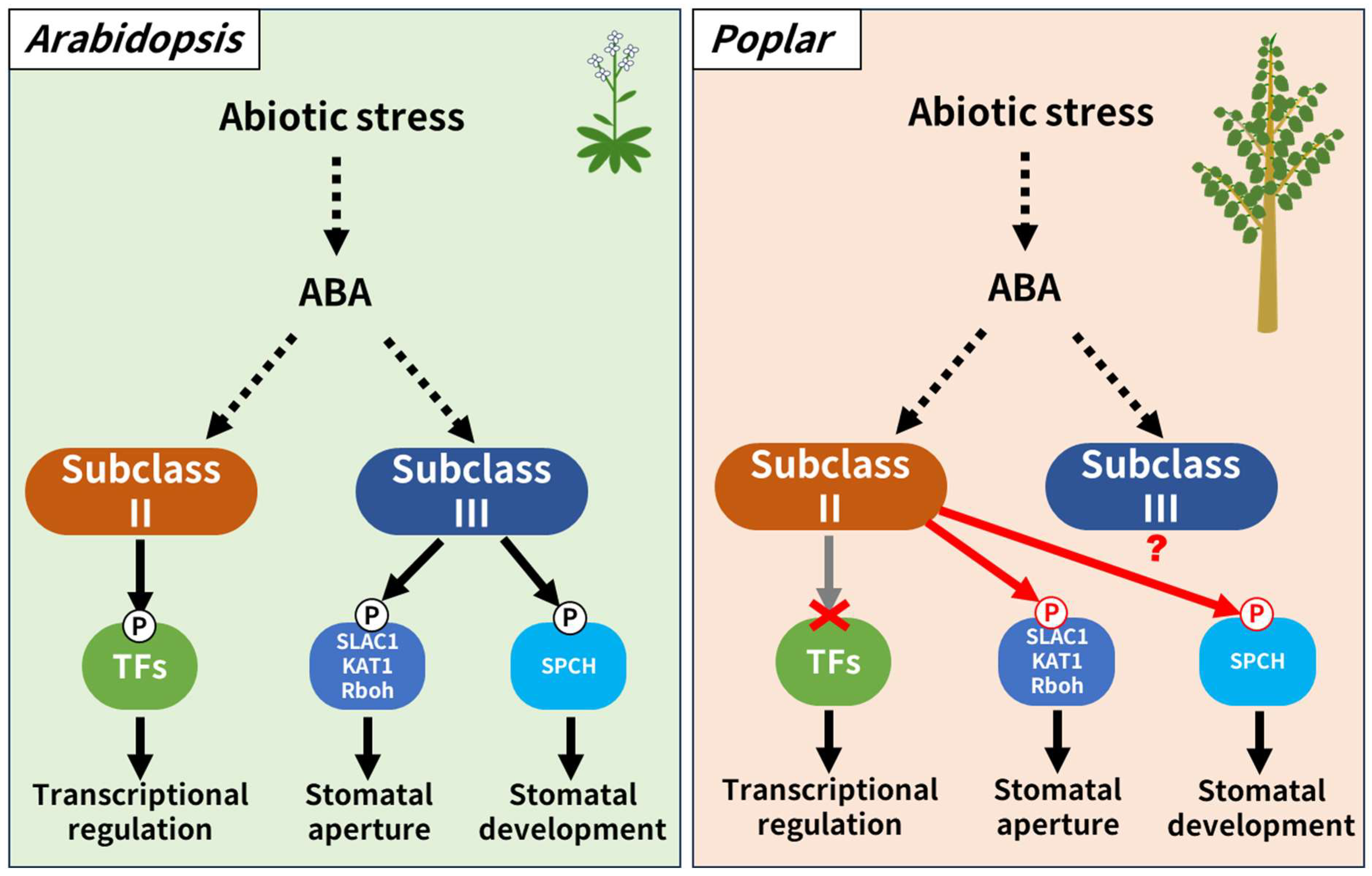 Life 14 00161 g006 Life 14 00161 g006
