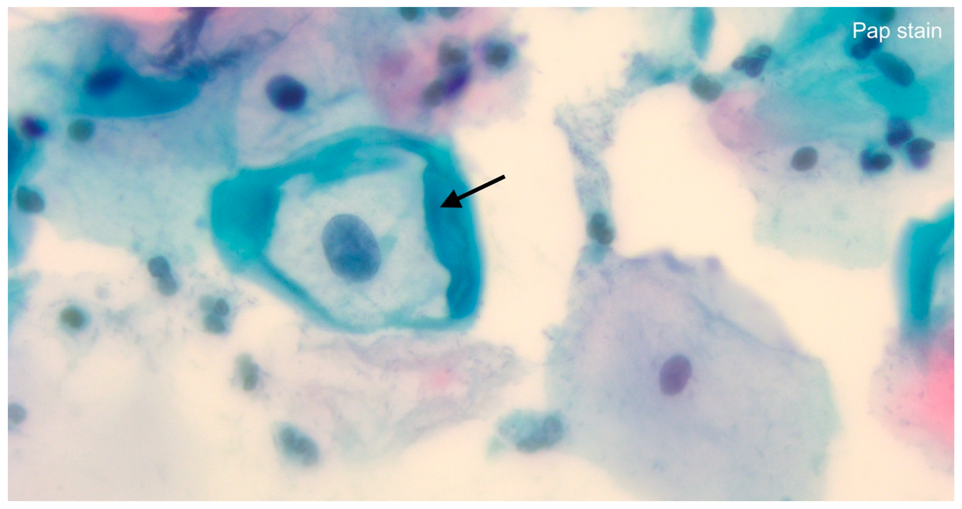 Life 14 00307 g002 Life 14 00307 g002