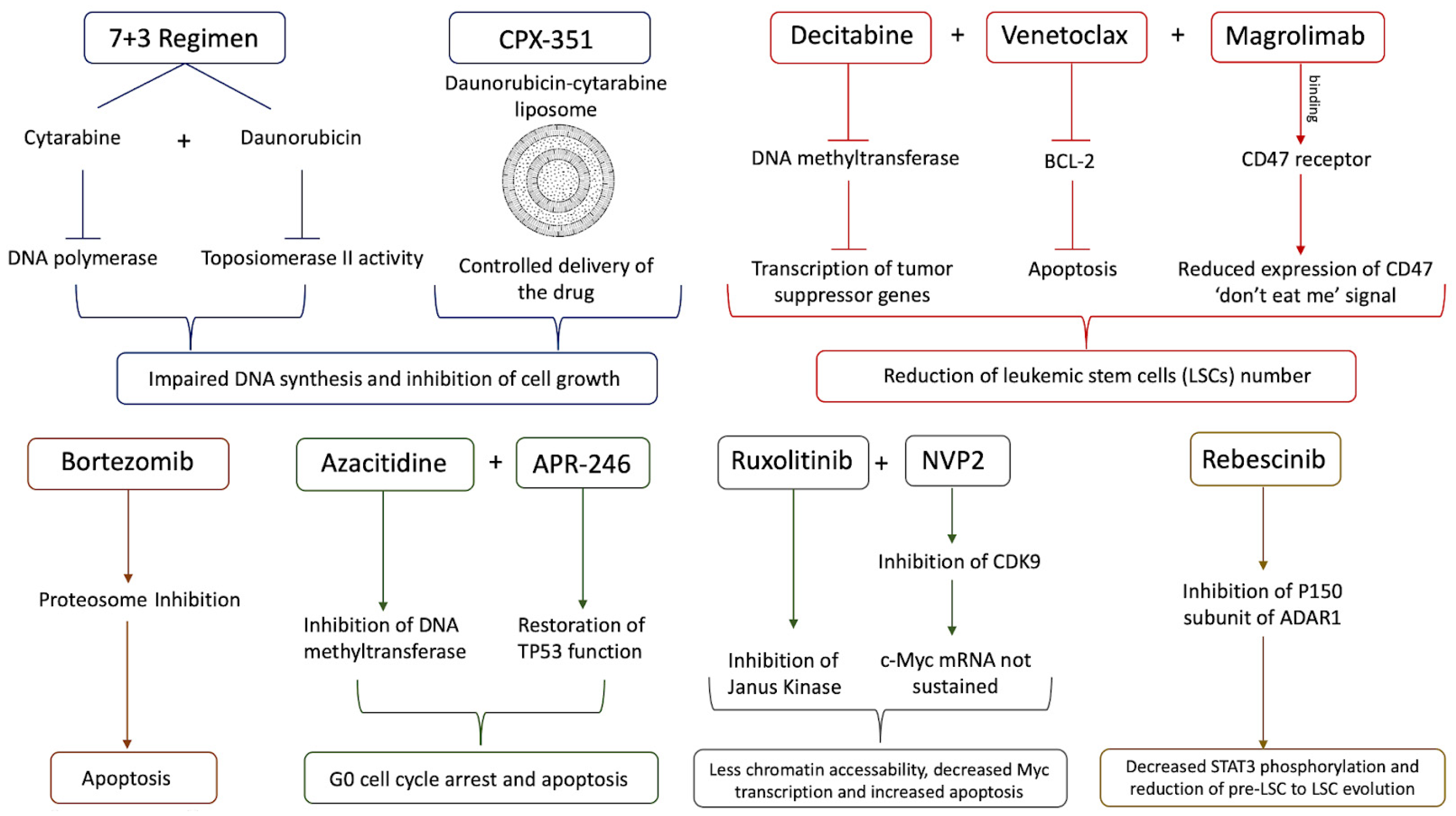 Life 14 00309 g003 Life 14 00309 g003