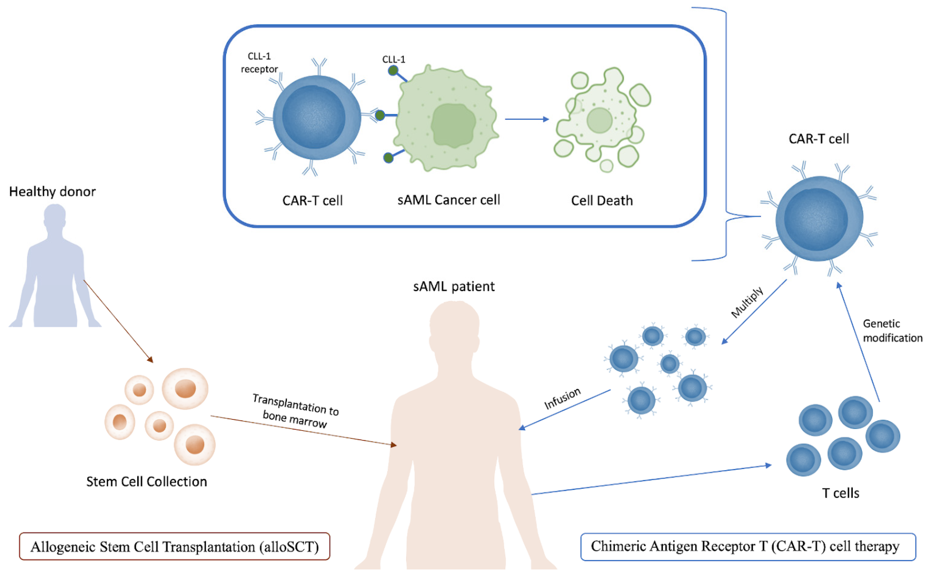 Life 14 00309 g004 Life 14 00309 g004