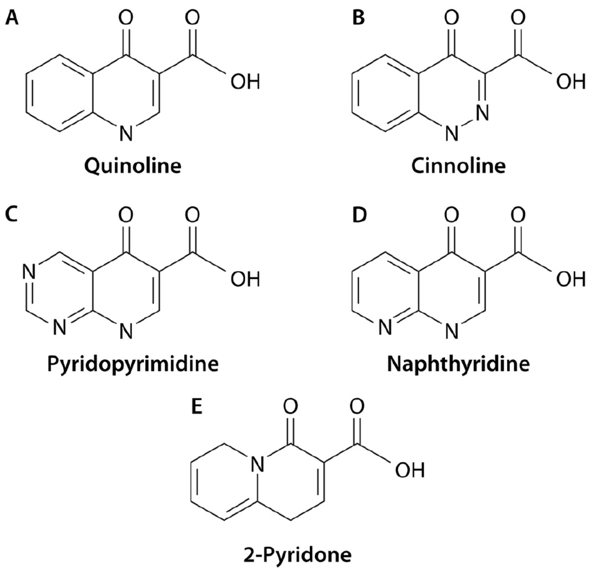 Life 14 00383 g001 Life 14 00383 g001
