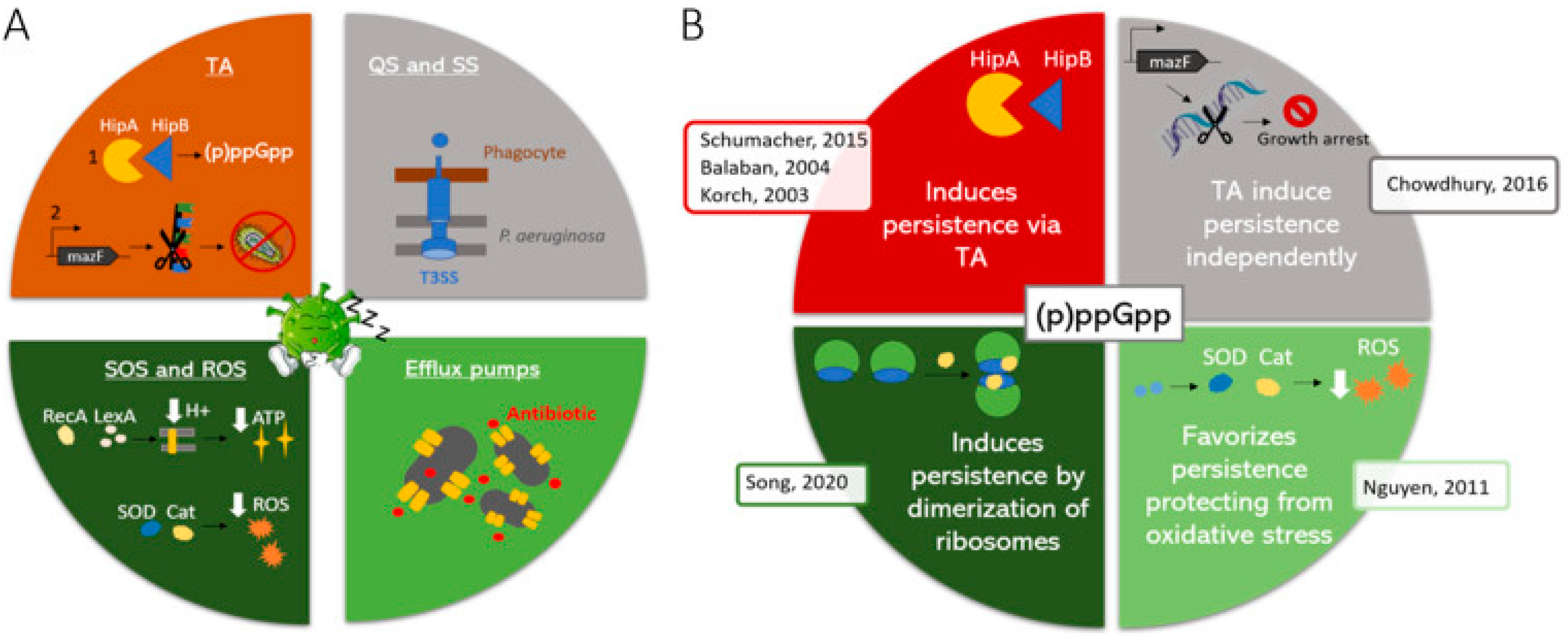 Life 14 00383 g002 Life 14 00383 g002