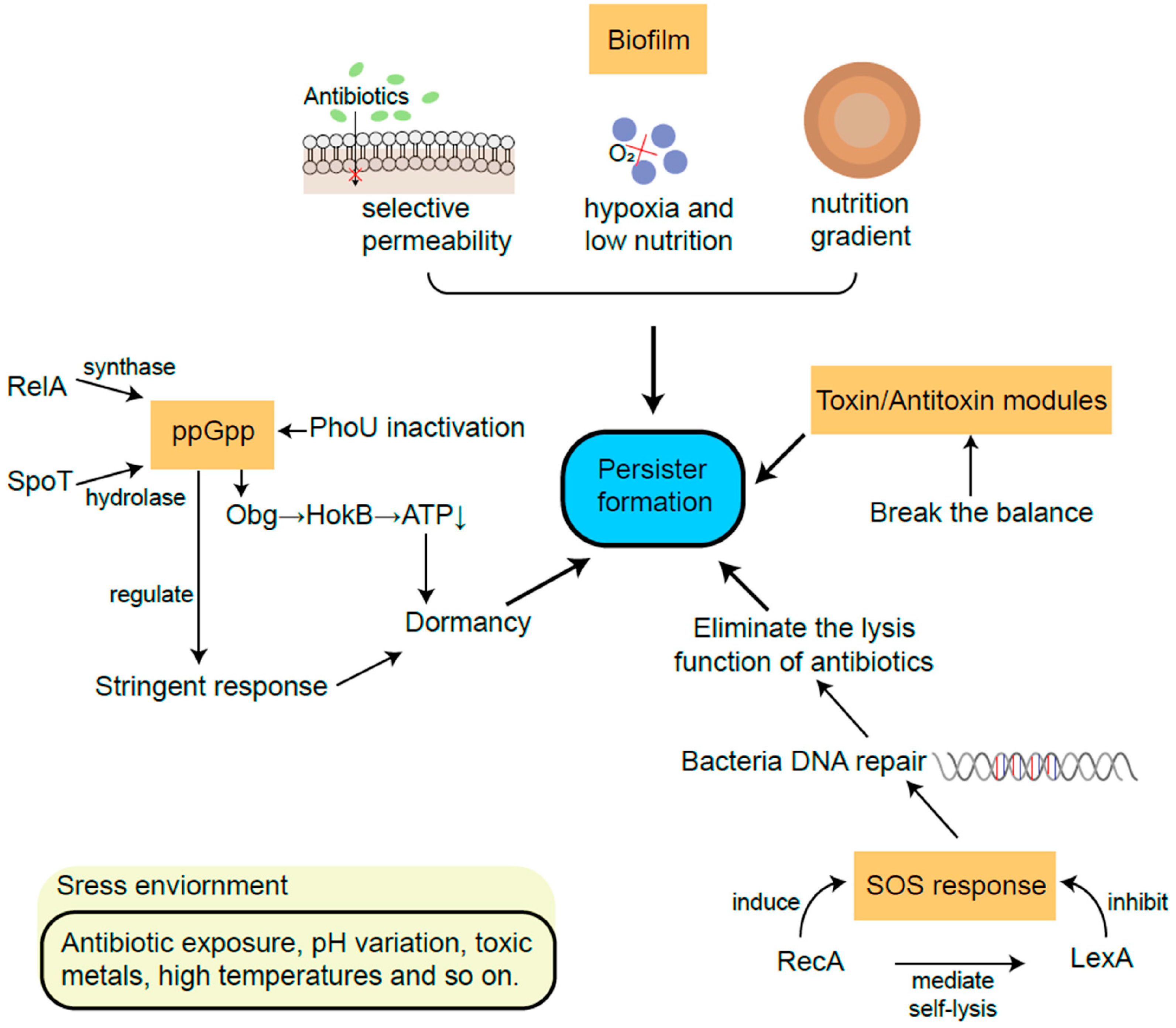 Life 14 00383 g003 Life 14 00383 g003
