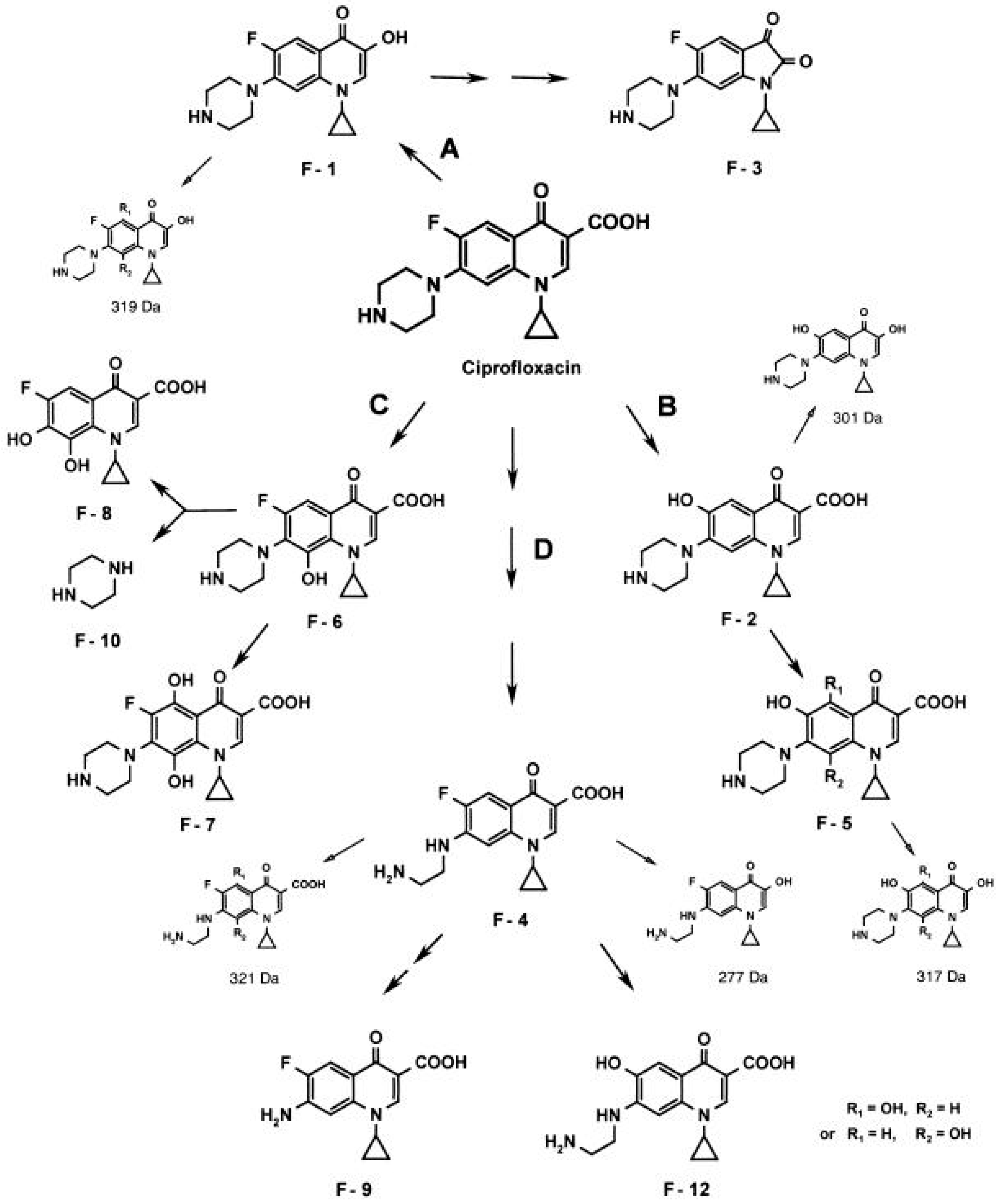 Life 14 00383 g004 Life 14 00383 g004