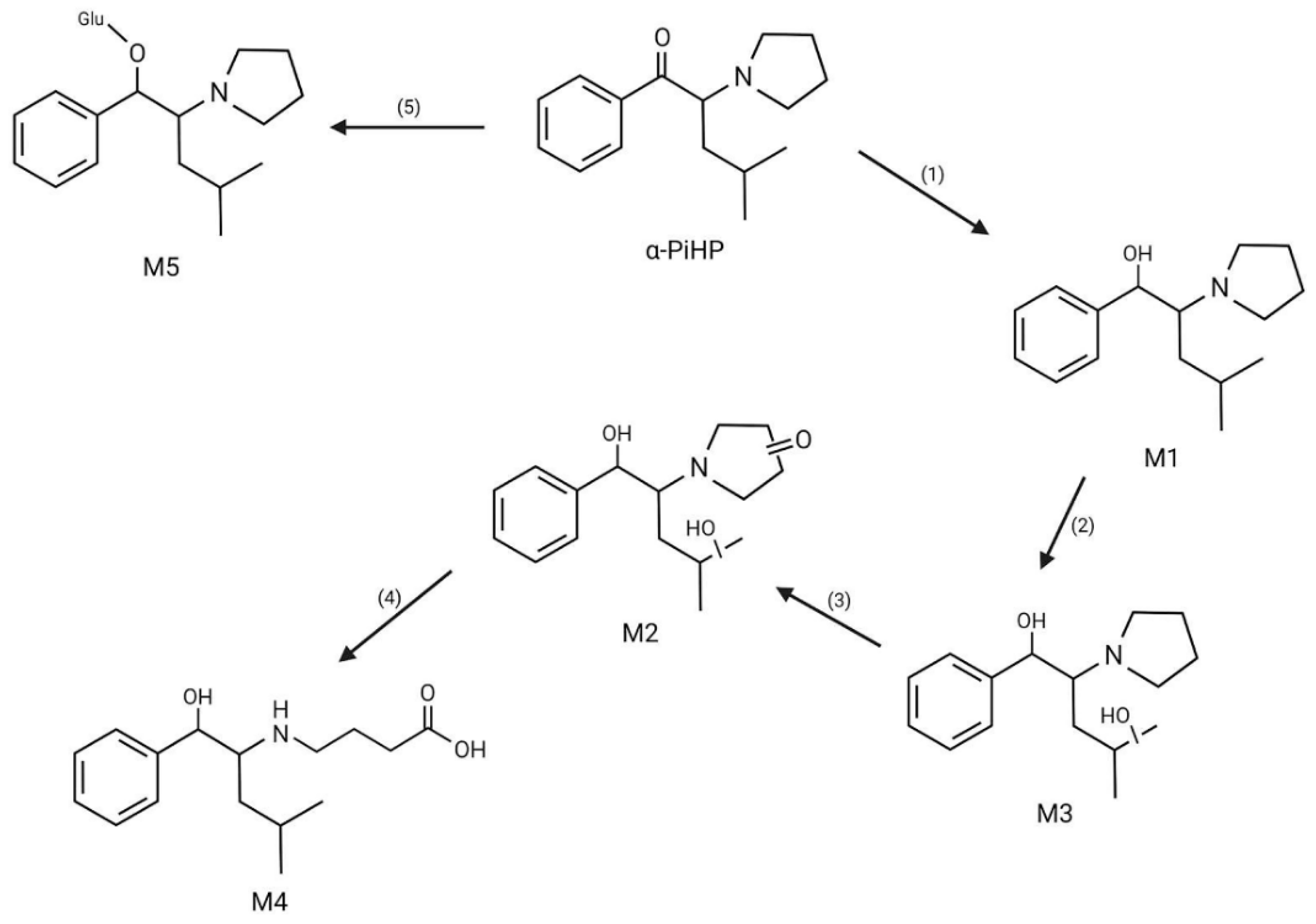 Life 14 00429 g006 Life 14 00429 g006