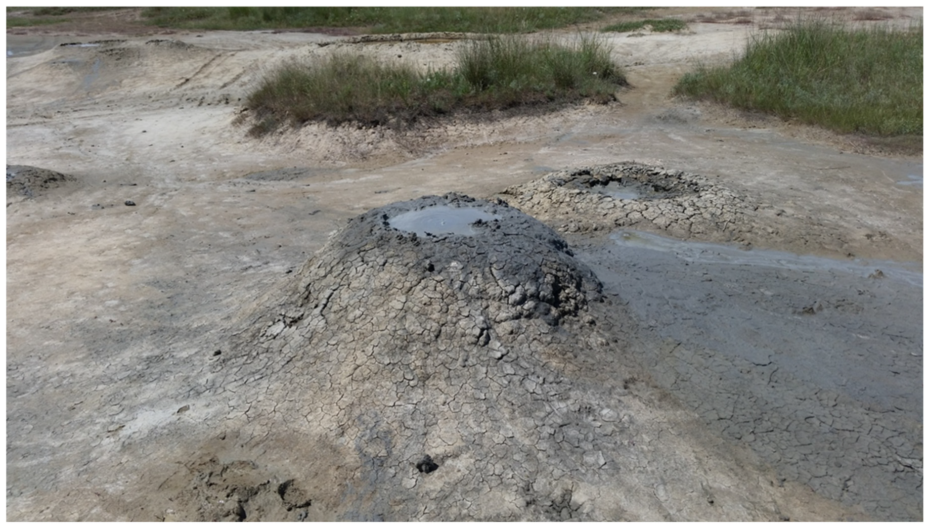 Life 14 00563 g001 Life 14 00563 g001