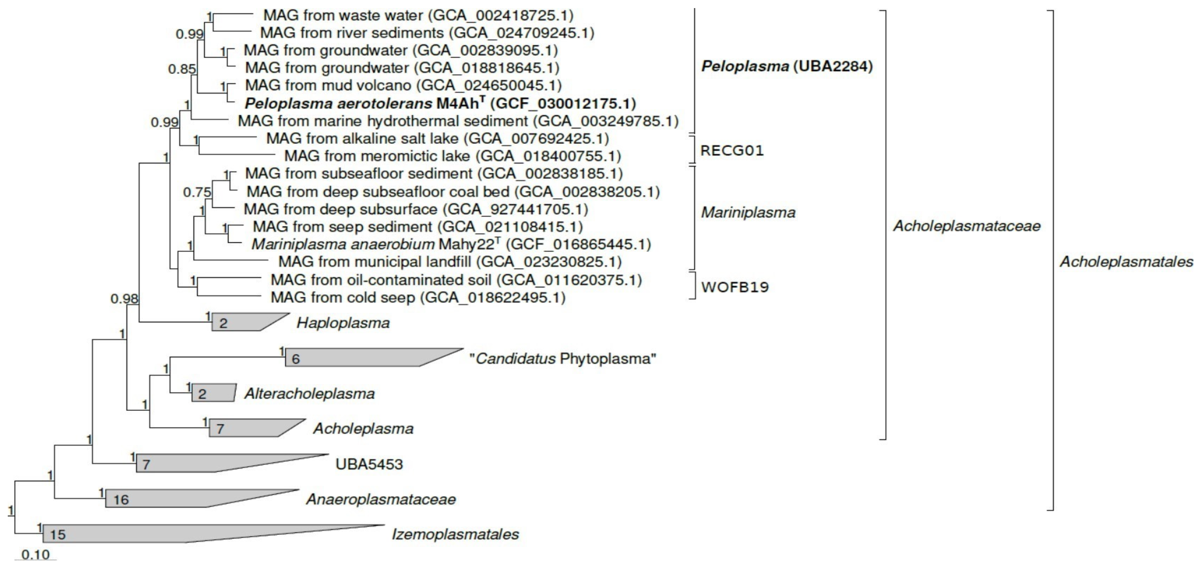 Life 14 00563 g003 Life 14 00563 g003