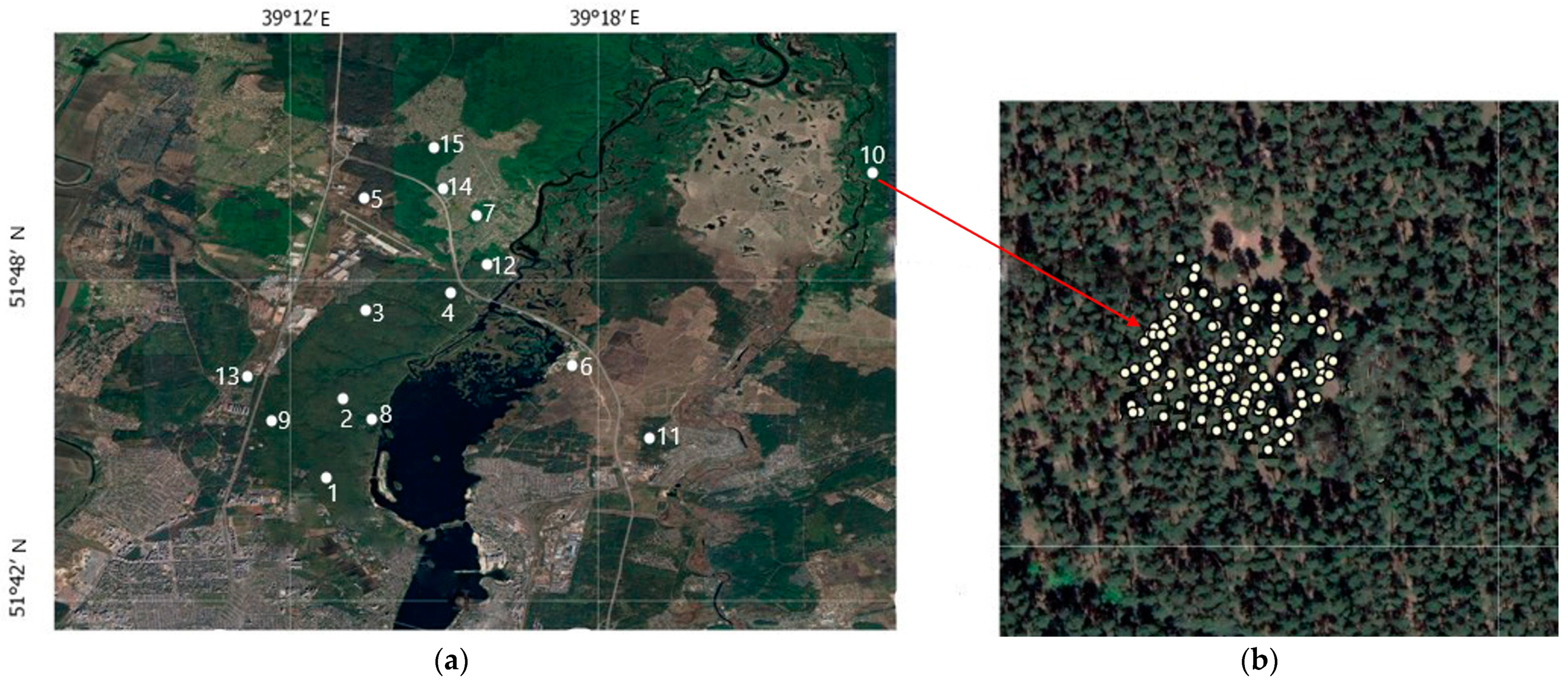 Life 14 00632 g002 Life 14 00632 g002