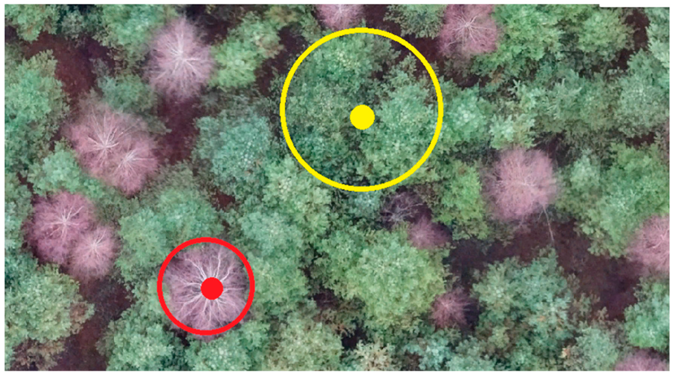 Life 14 00632 g003 Life 14 00632 g003