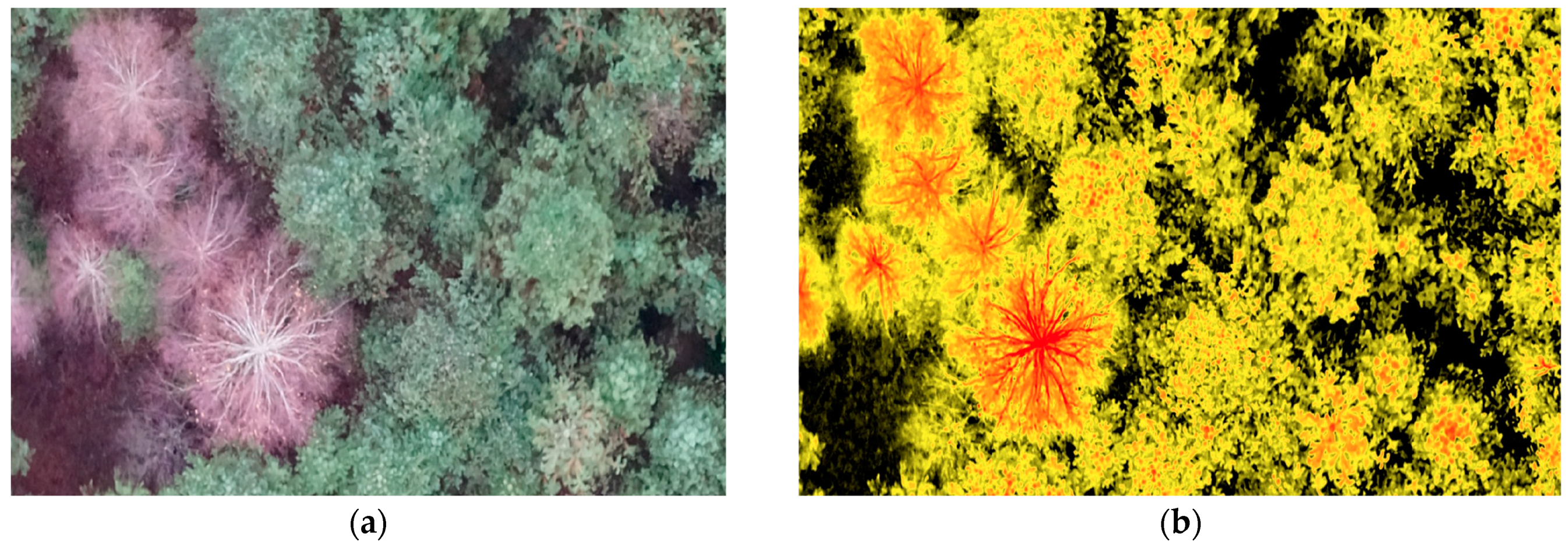 Life 14 00632 g004 Life 14 00632 g004