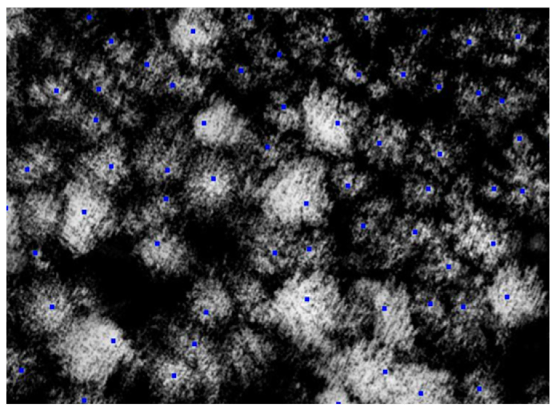 Life 14 00632 g005 Life 14 00632 g005