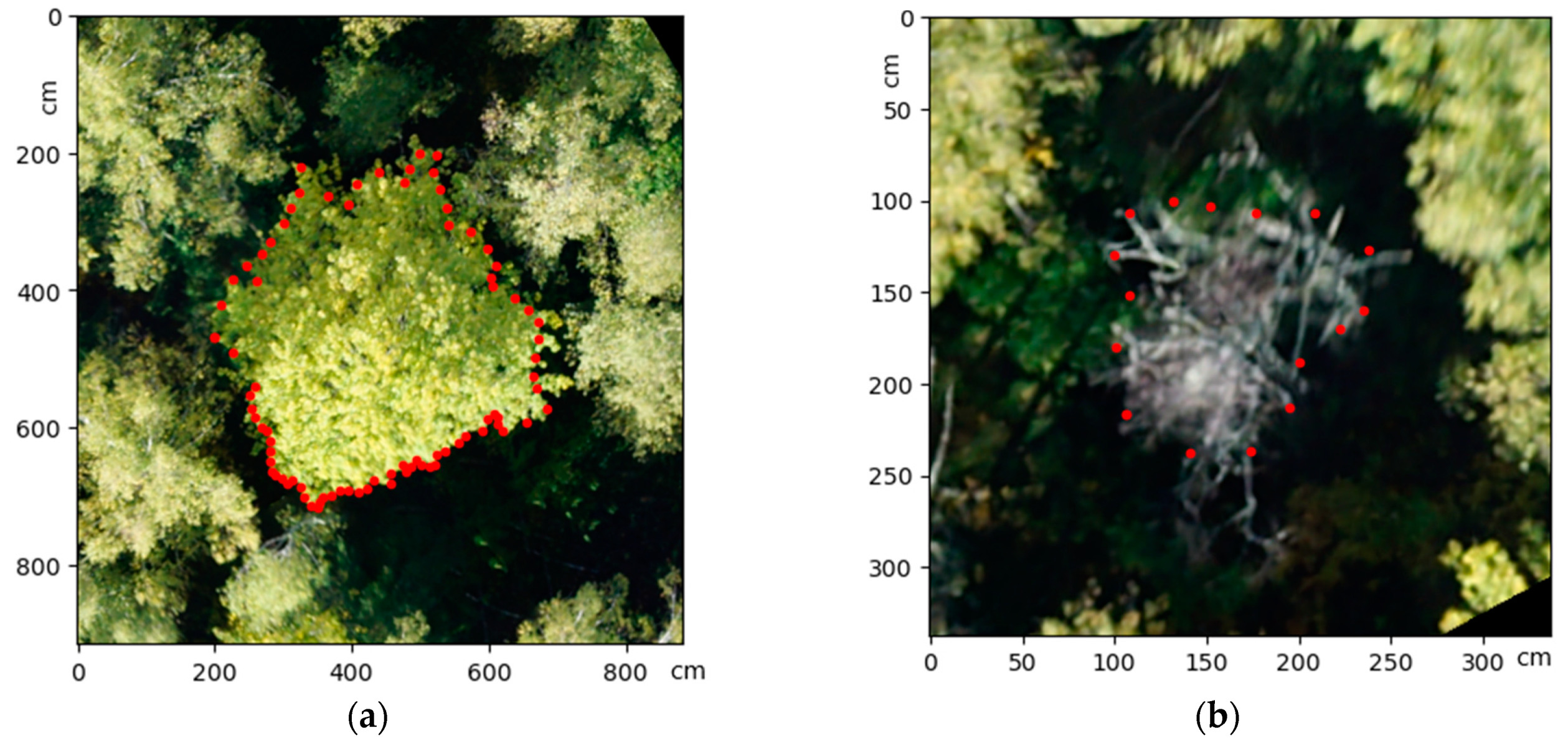 Life 14 00632 g007 Life 14 00632 g007