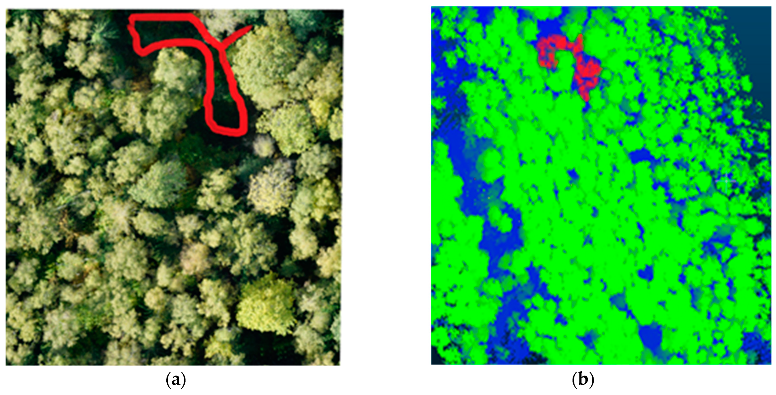 Life 14 00632 g011 Life 14 00632 g011