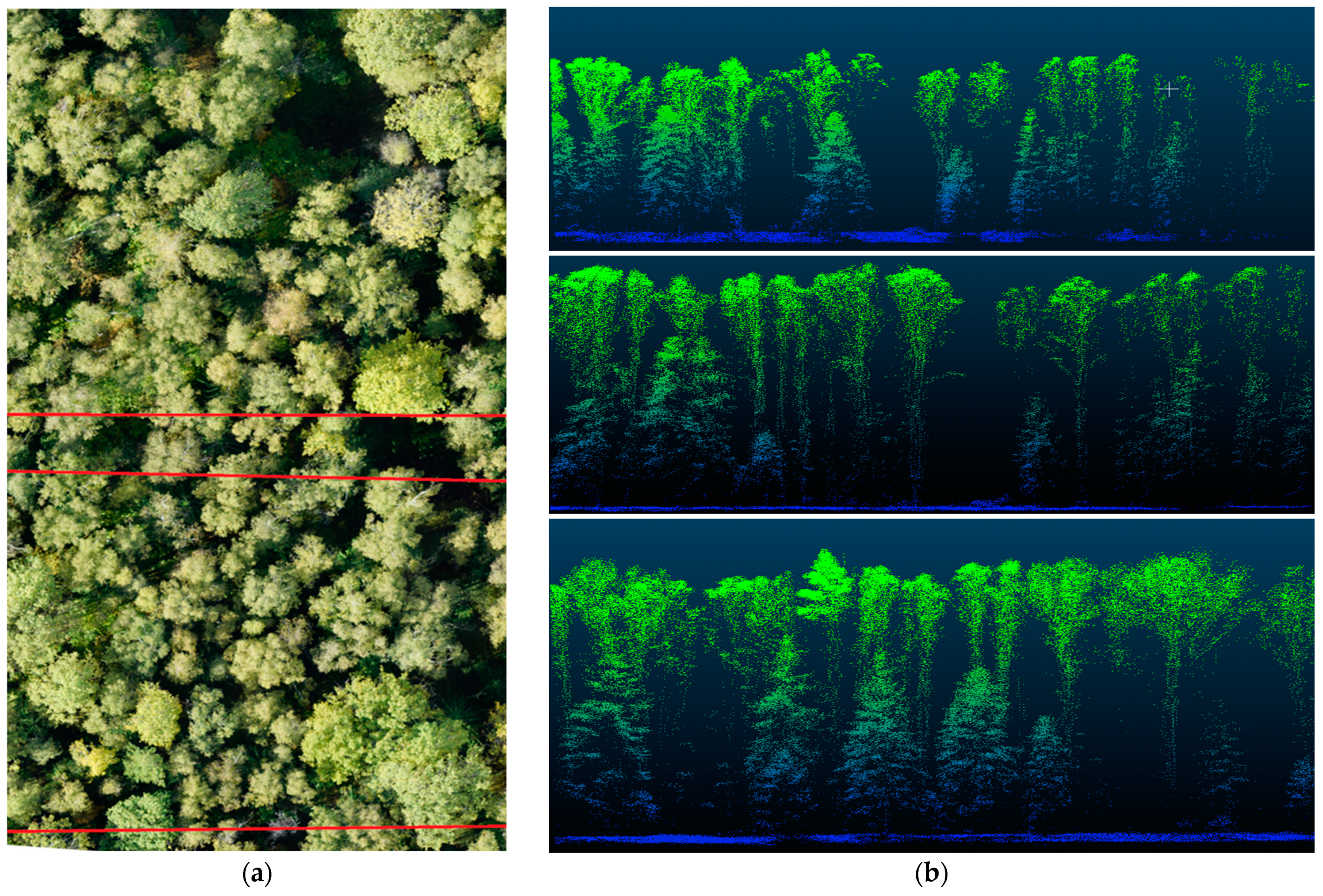 Life 14 00632 g012 Life 14 00632 g012