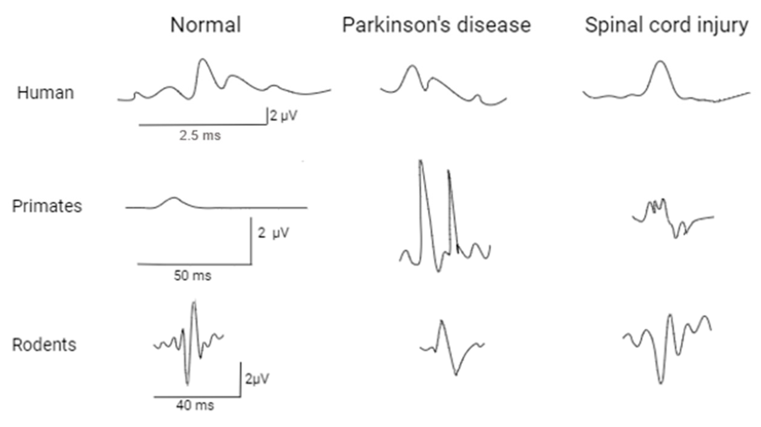 Life 14 00737 g002 Life 14 00737 g002