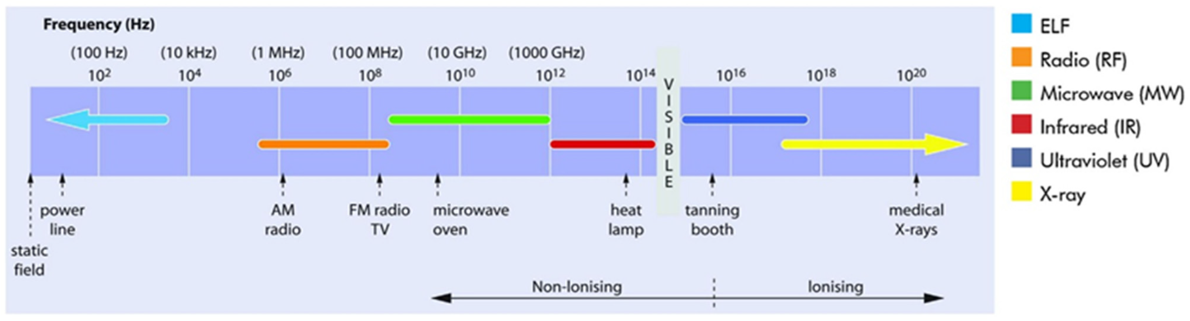 Life 14 00830 g001 Life 14 00830 g001