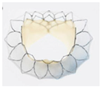 Life 14 00842 i011 Life 14 00842 i011