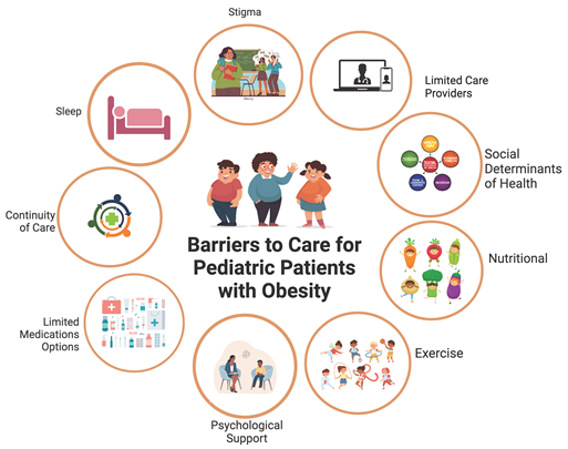 Life 14 00884 i001 Life 14 00884 i001