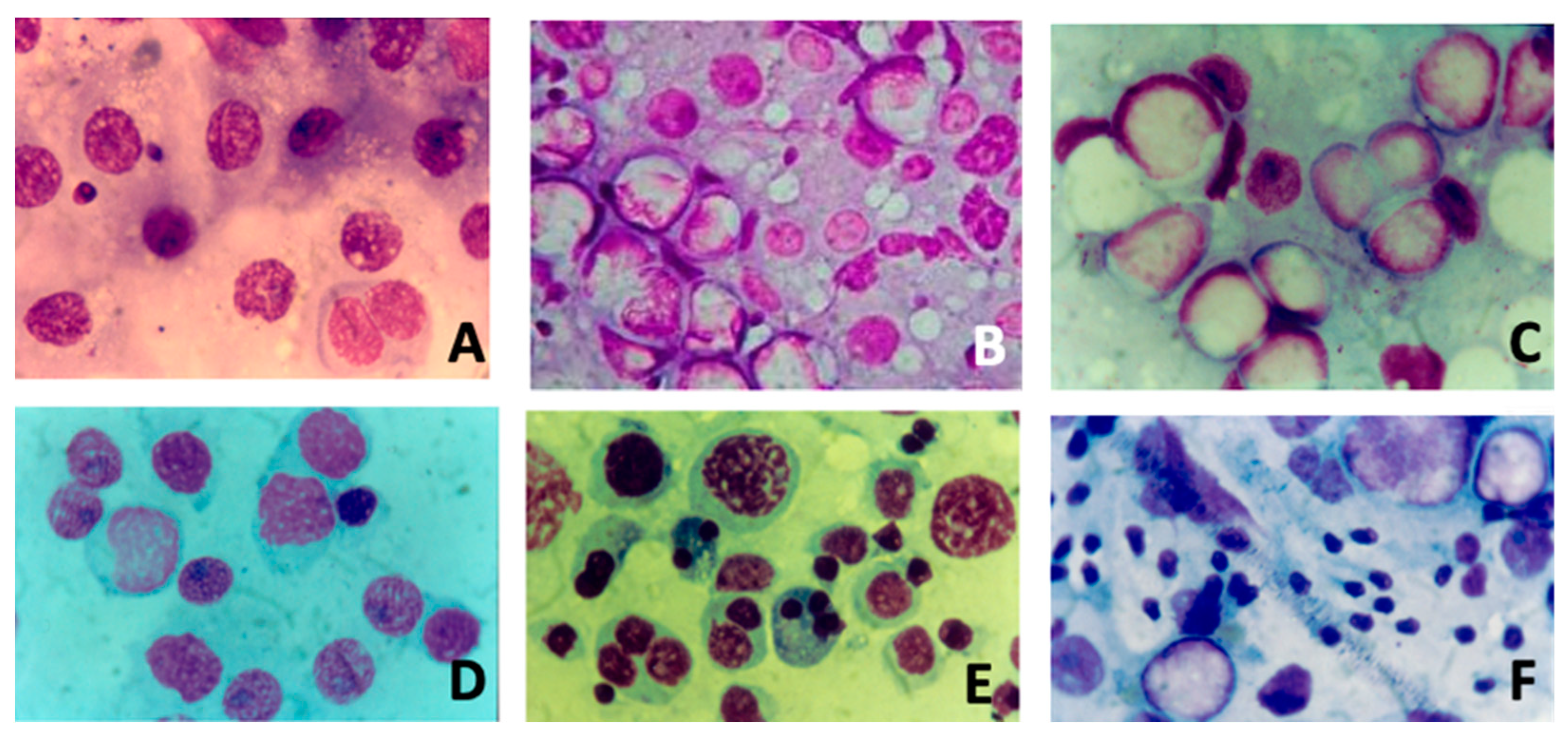 Life 14 00969 g001 Life 14 00969 g001