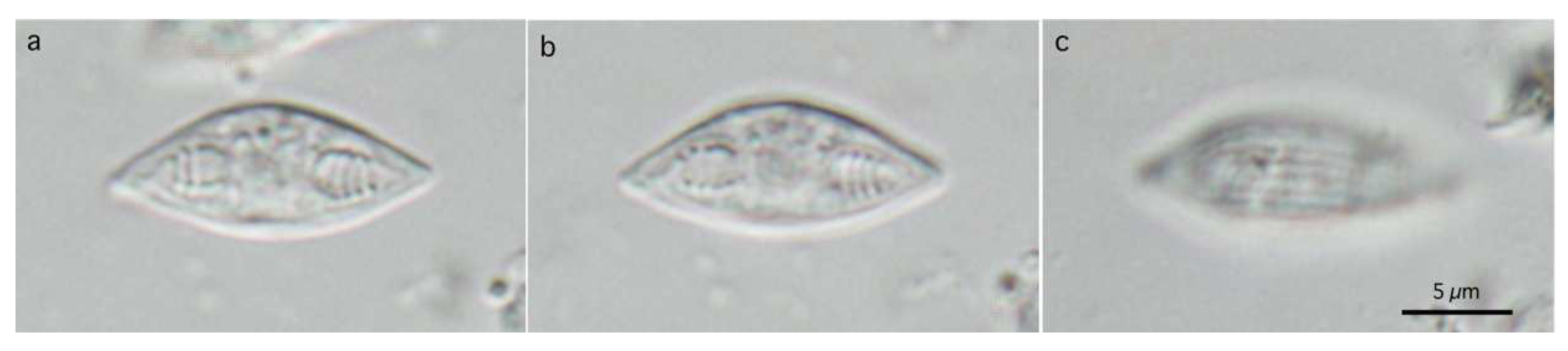 Life 14 00974 g006 Life 14 00974 g006