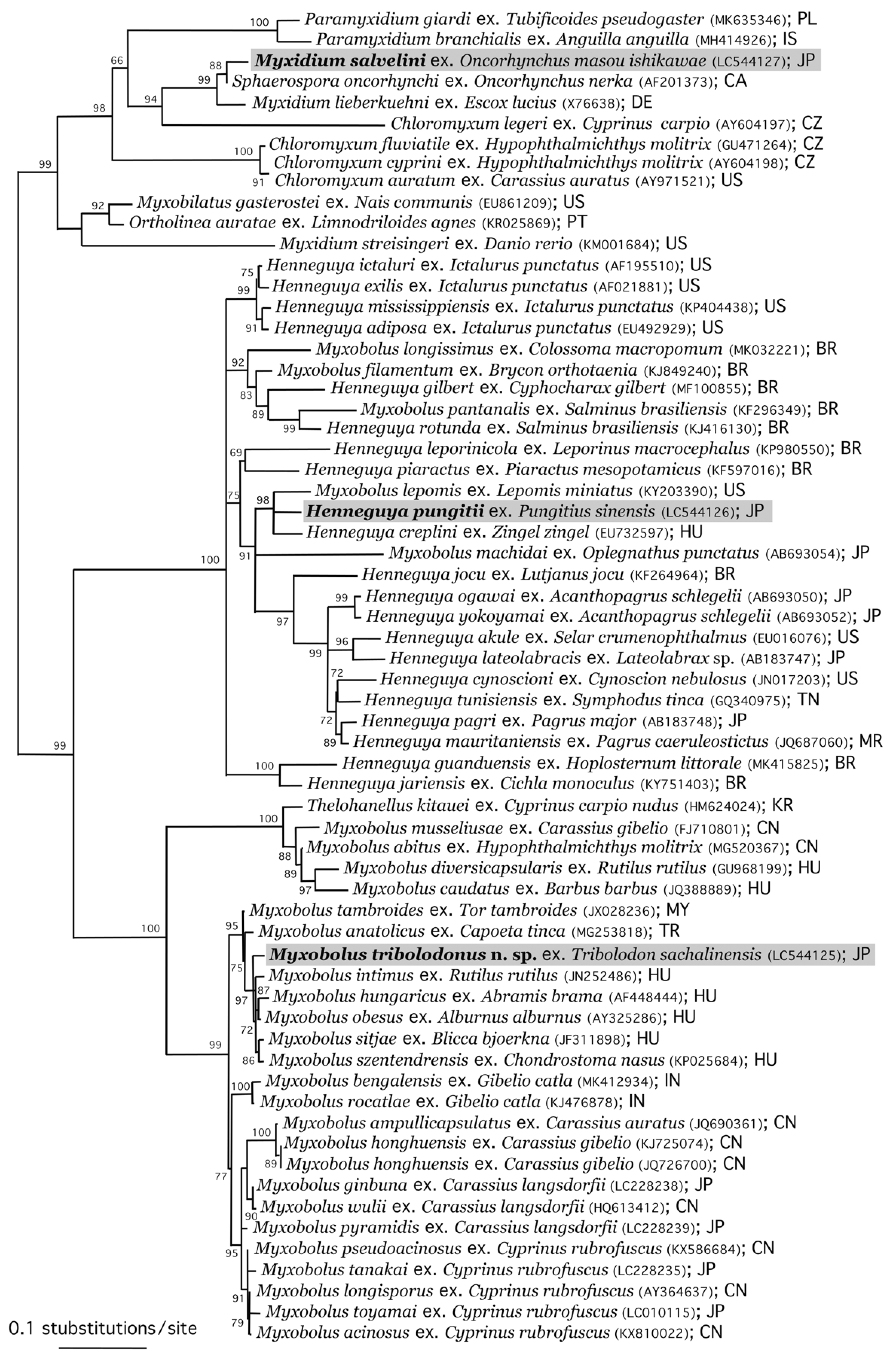 Life 14 00974 g007 Life 14 00974 g007