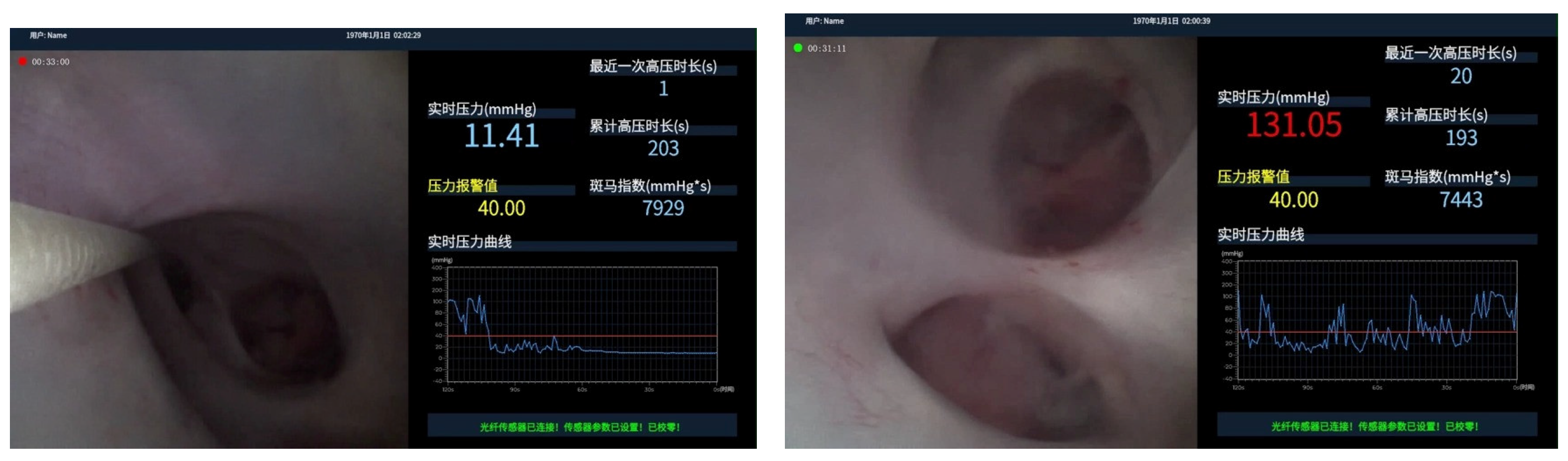 Life 14 01060 g003 Life 14 01060 g003