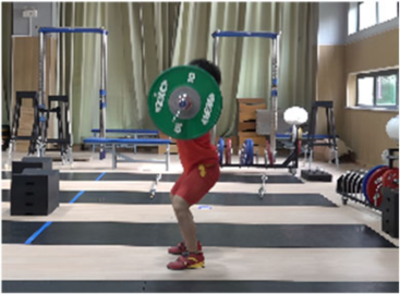 Life 14 01086 i004 Life 14 01086 i004