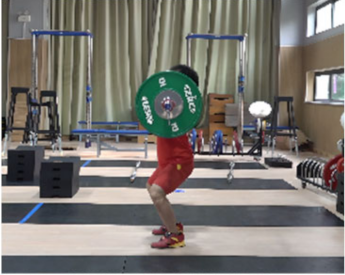 Life 14 01086 i005 Life 14 01086 i005