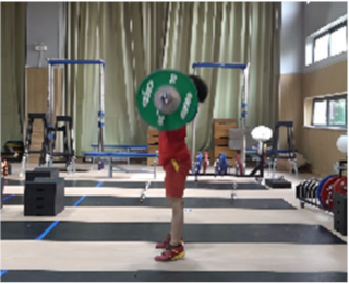 Life 14 01086 i008 Life 14 01086 i008