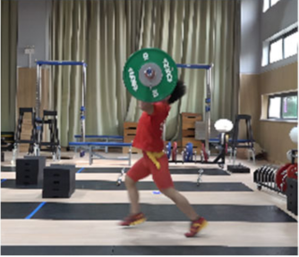 Life 14 01086 i009 Life 14 01086 i009